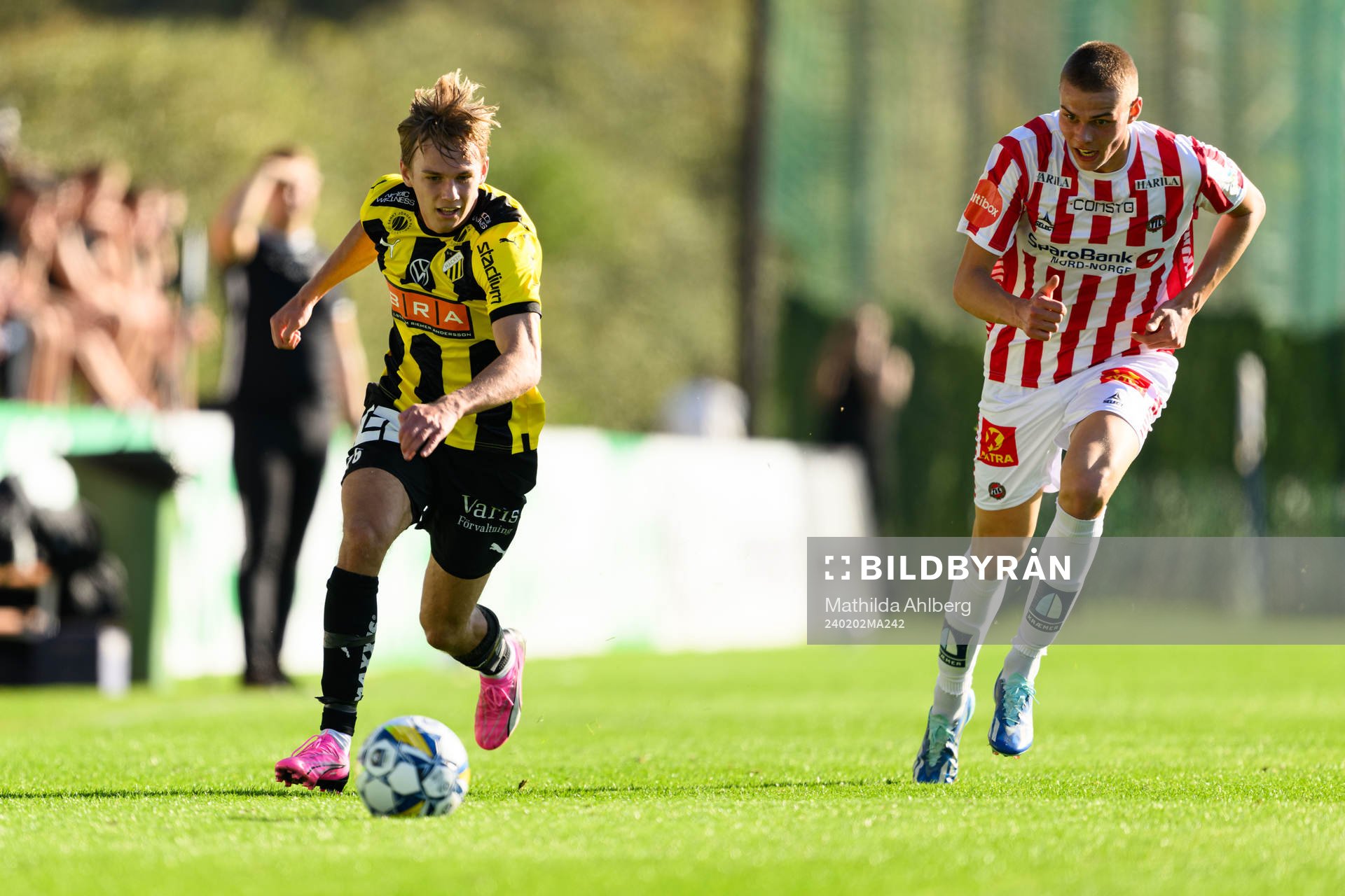 Pontus Dahbo of BK Häcken