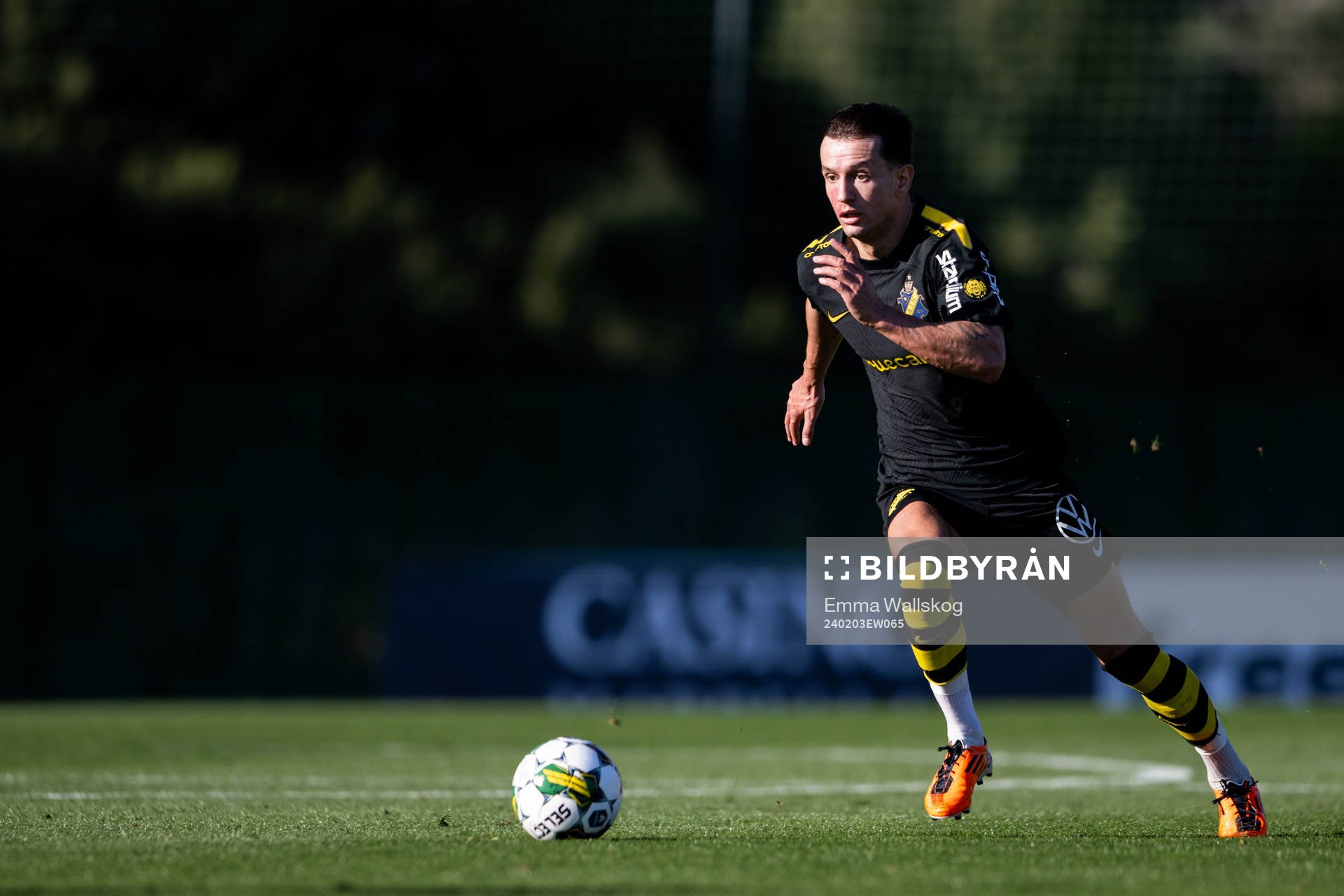 Bersant Celina of AIK