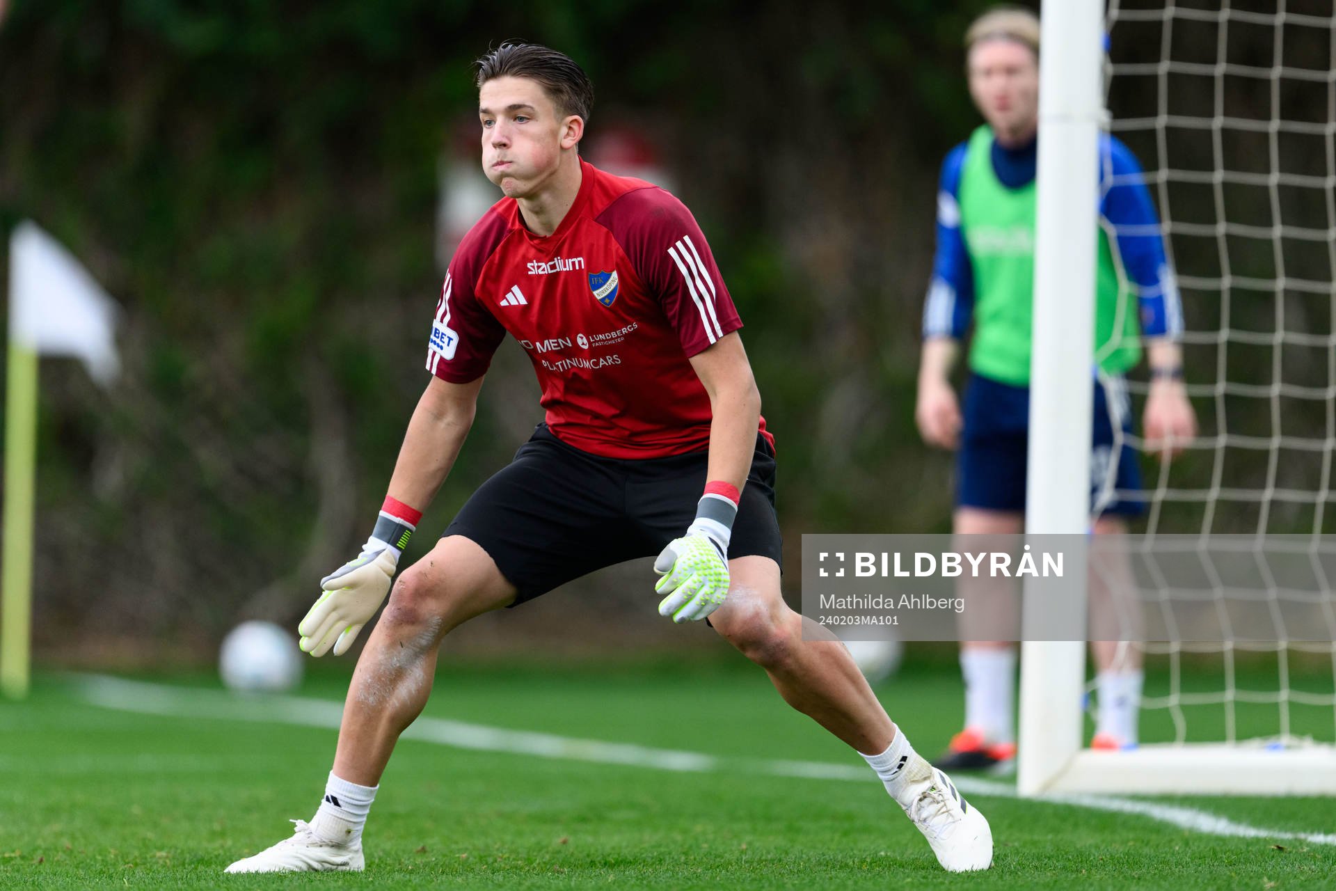 IFK Norrköpings målvakt David Andersson