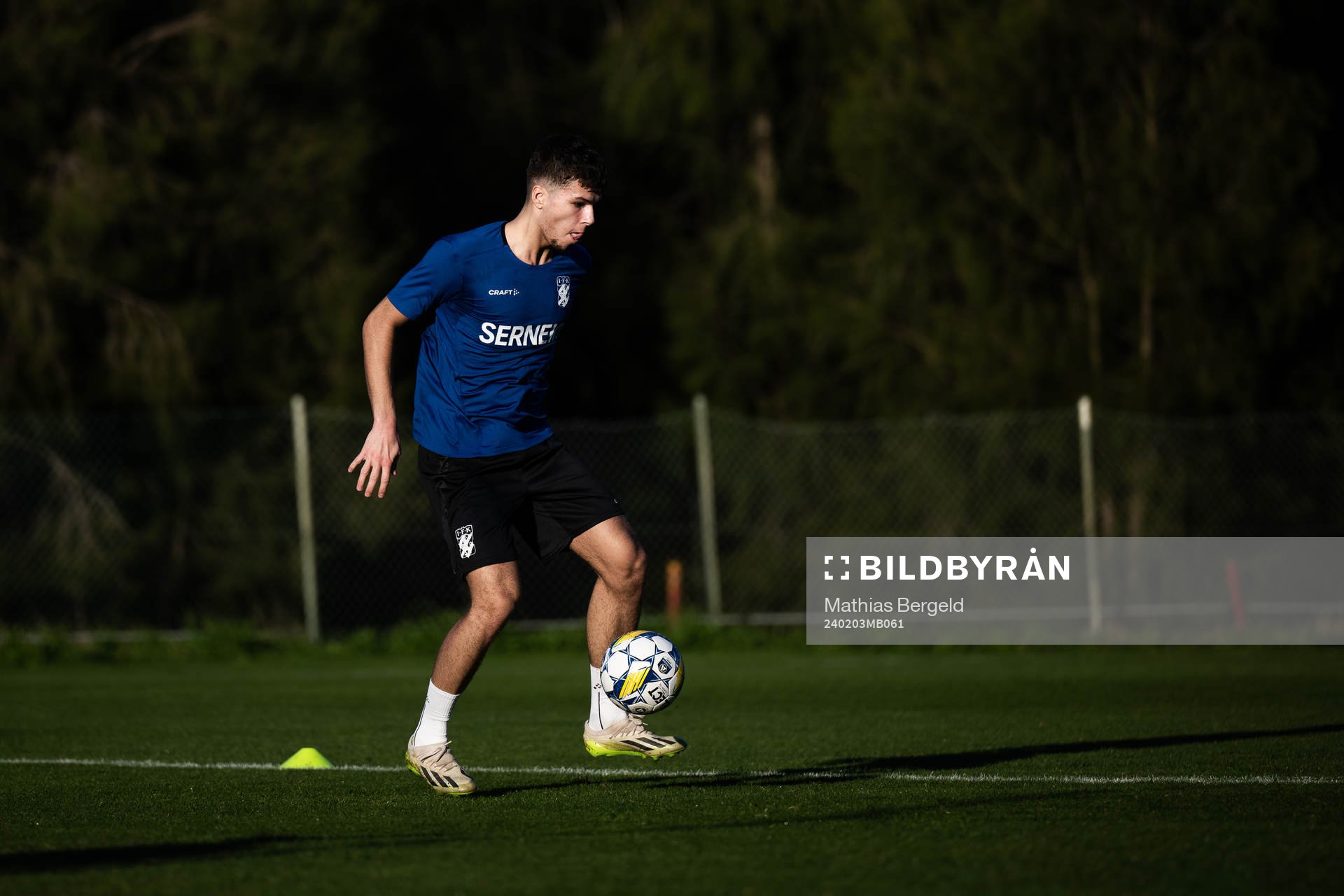 Lion Beqiri