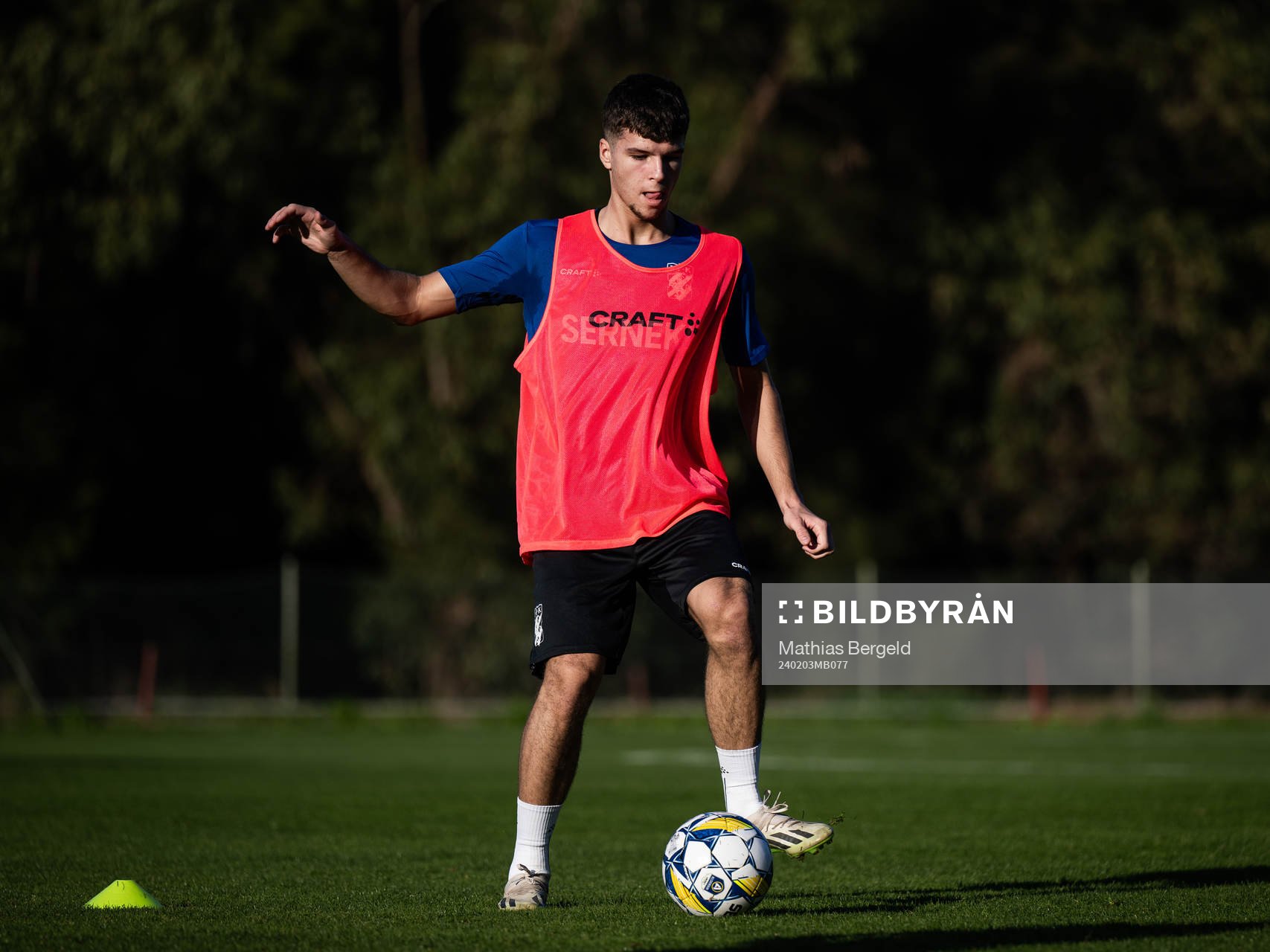 Lion Beqiri