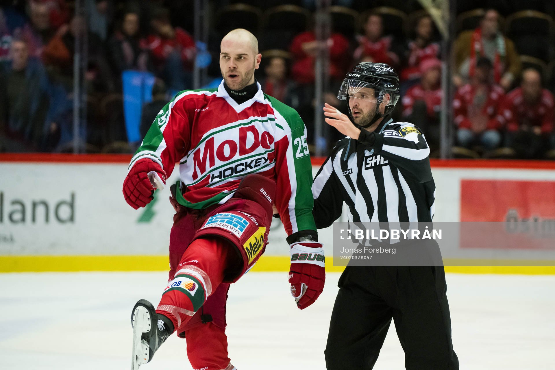 MoDos Sam Vigneault