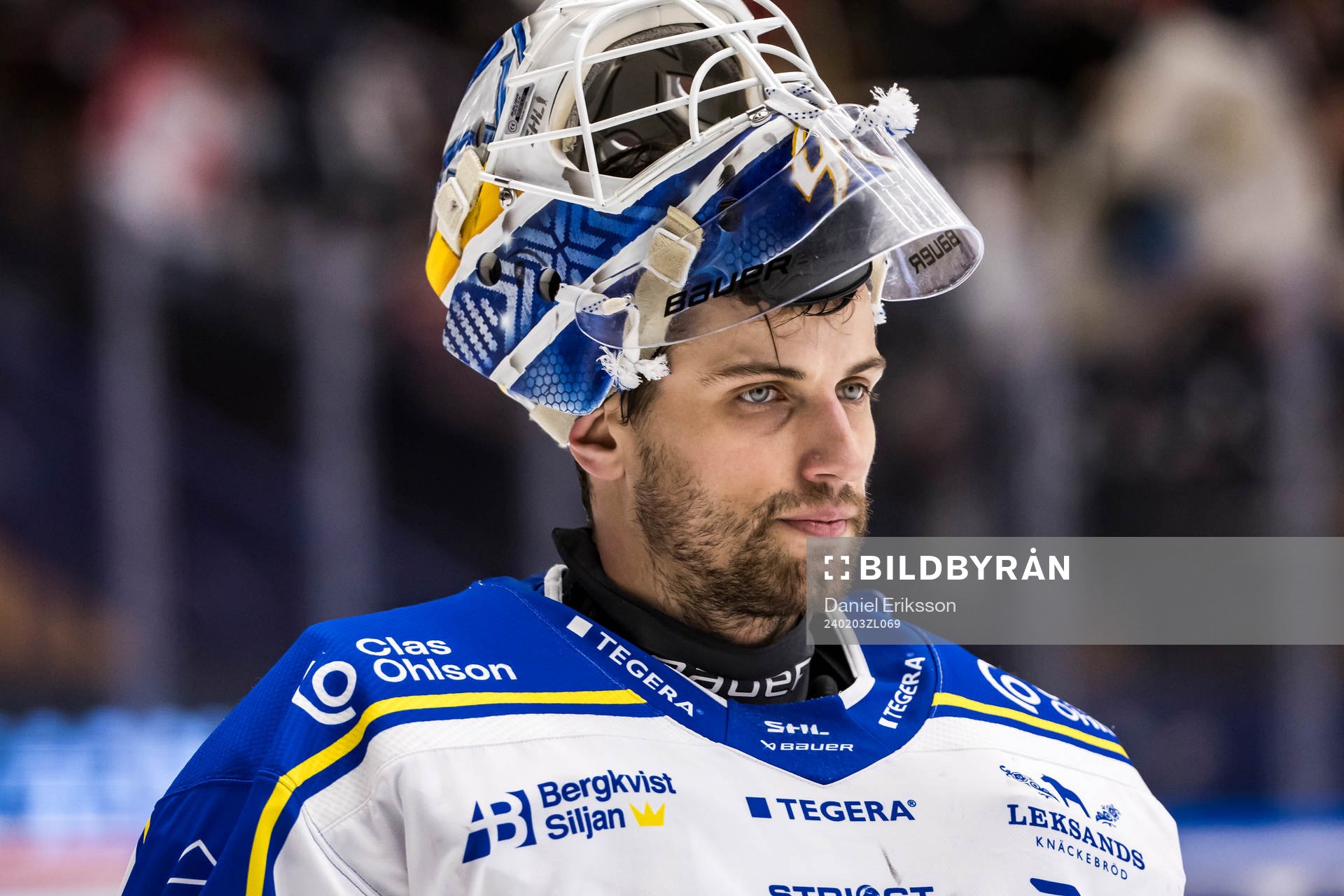Leksands målvakt Mantas Armalis