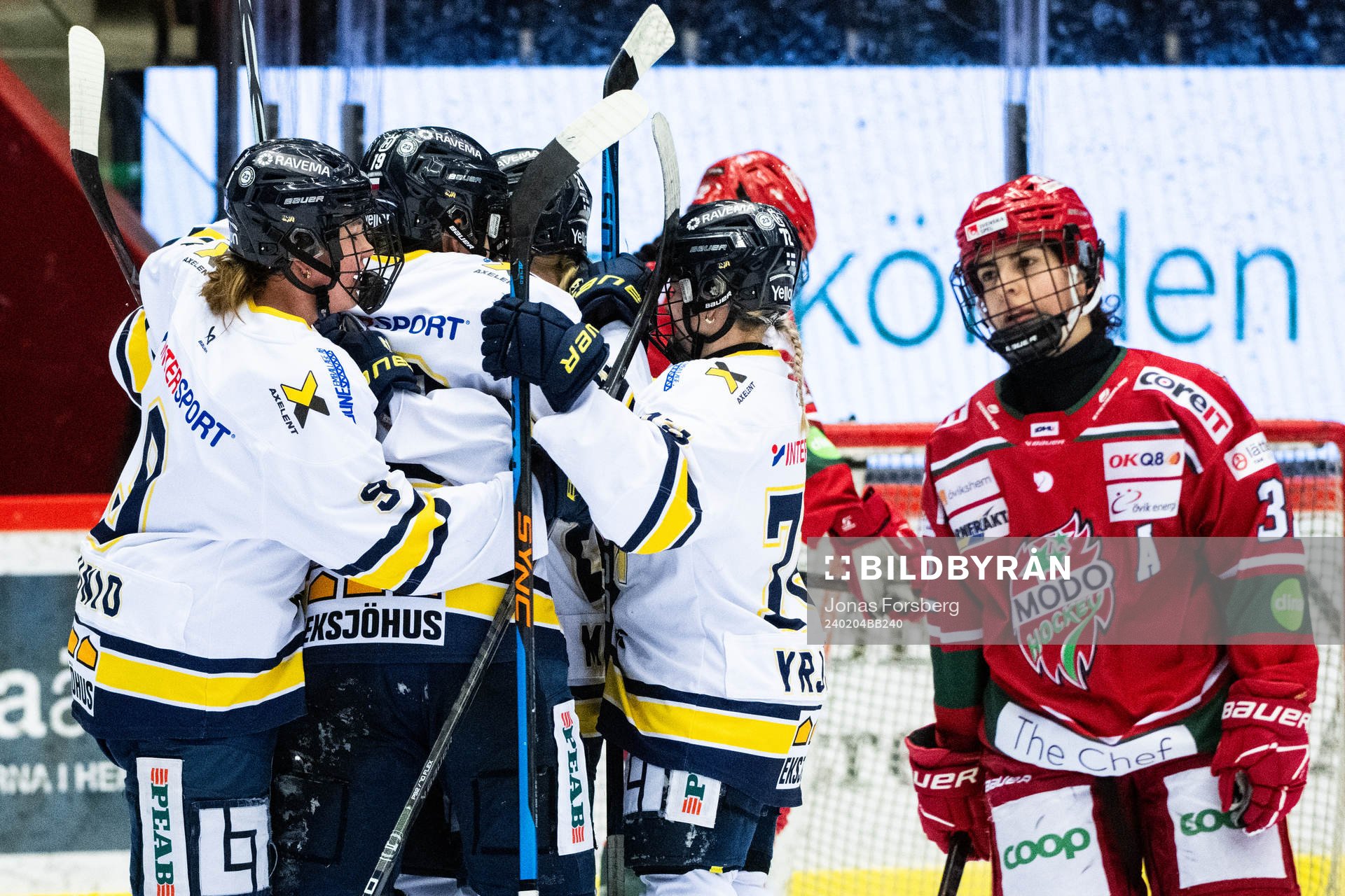 HV71s Aoife Leacy jublar