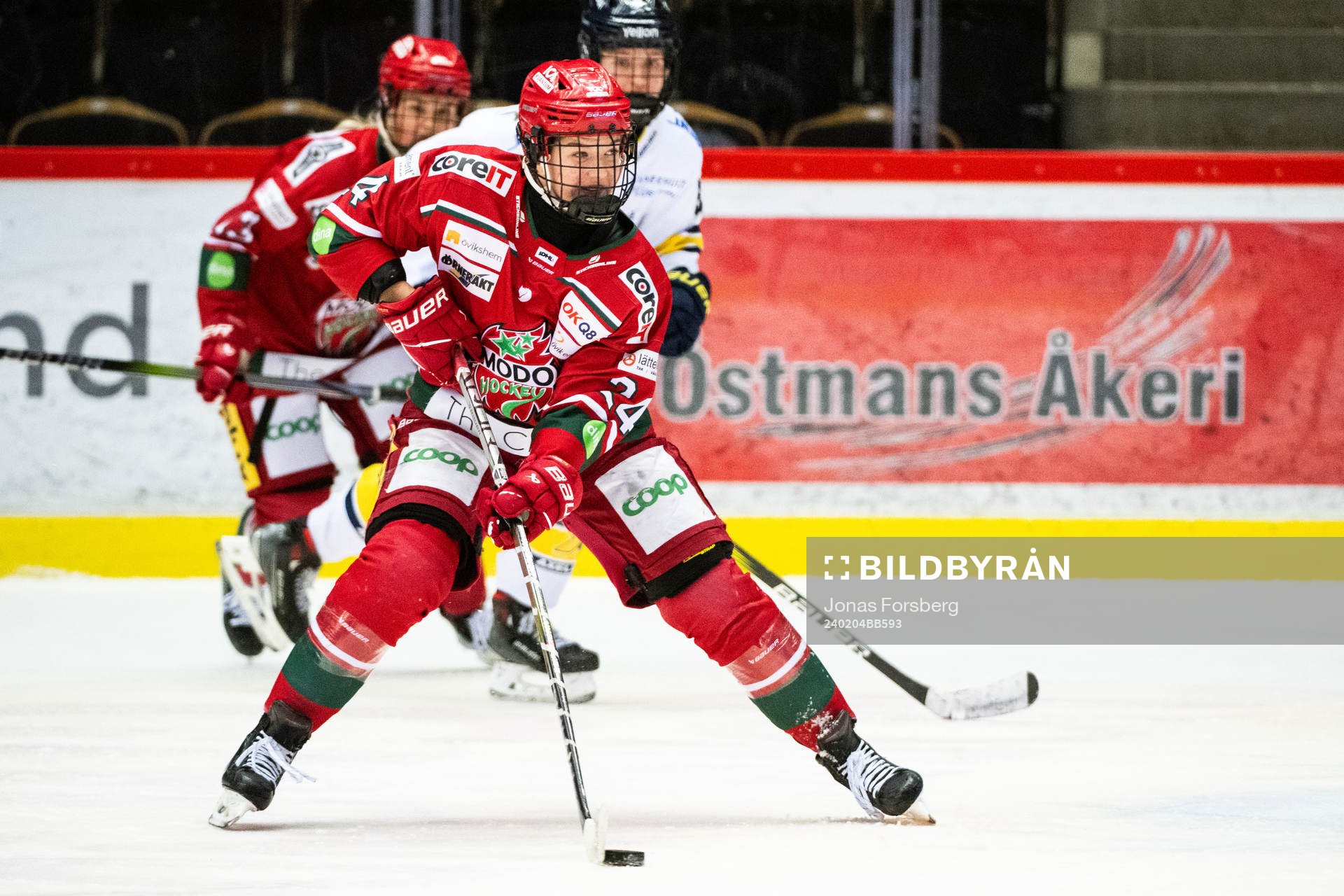 Modos Ebba Hedqvist