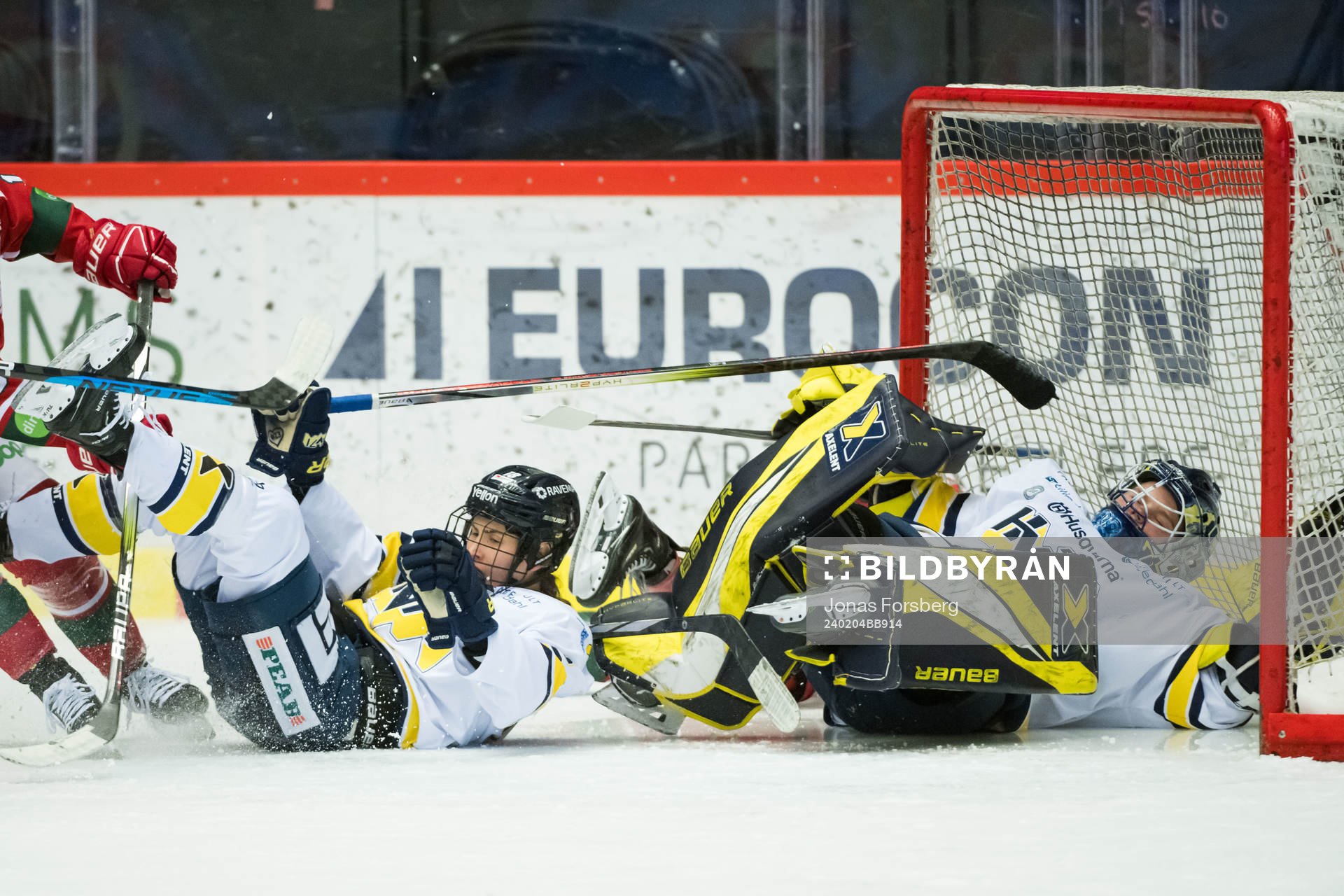 HV71s målvakt Lina Van Noort