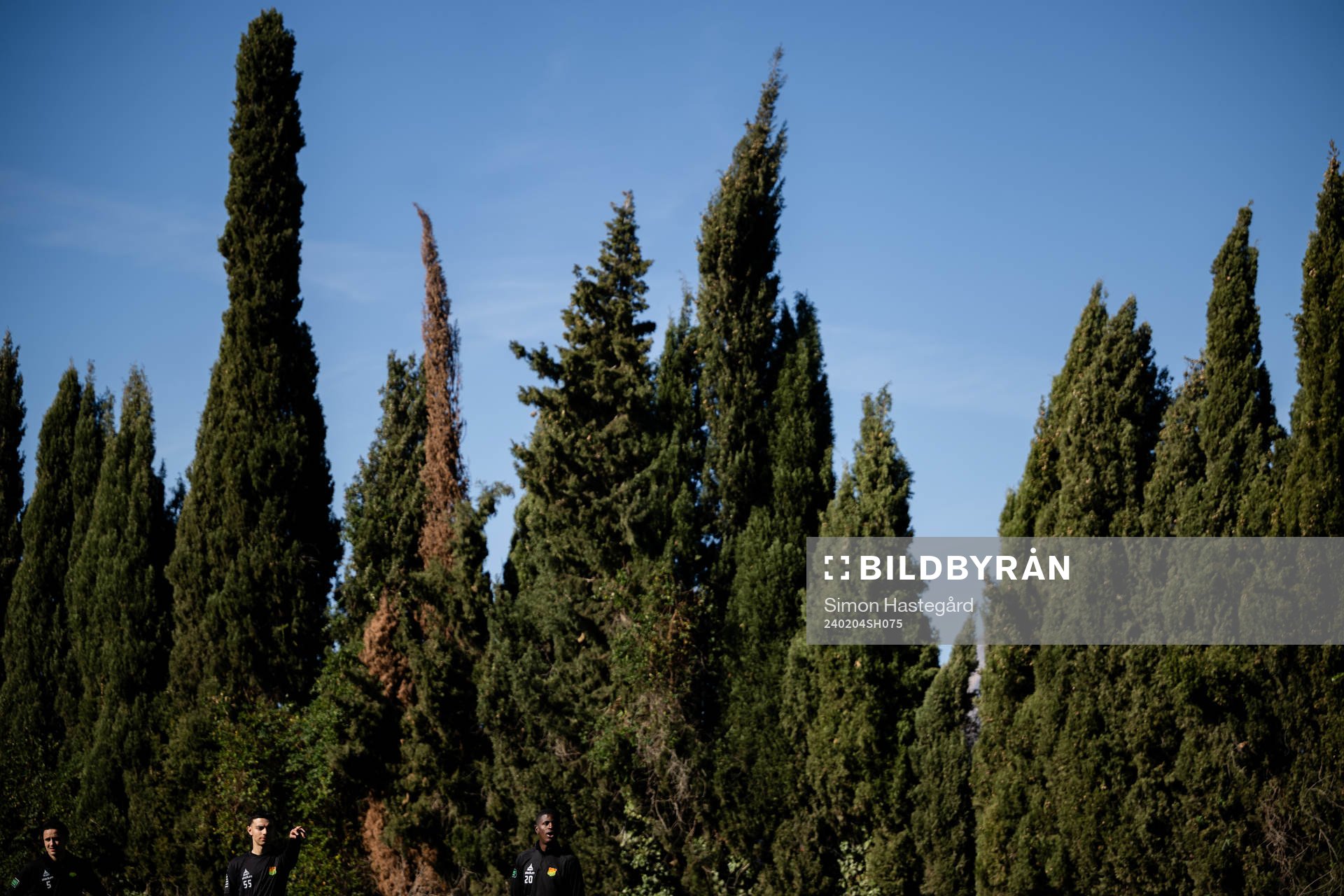 Amin Boudri, Mohamed Bawa, och Chisomnazu Chika Chidi