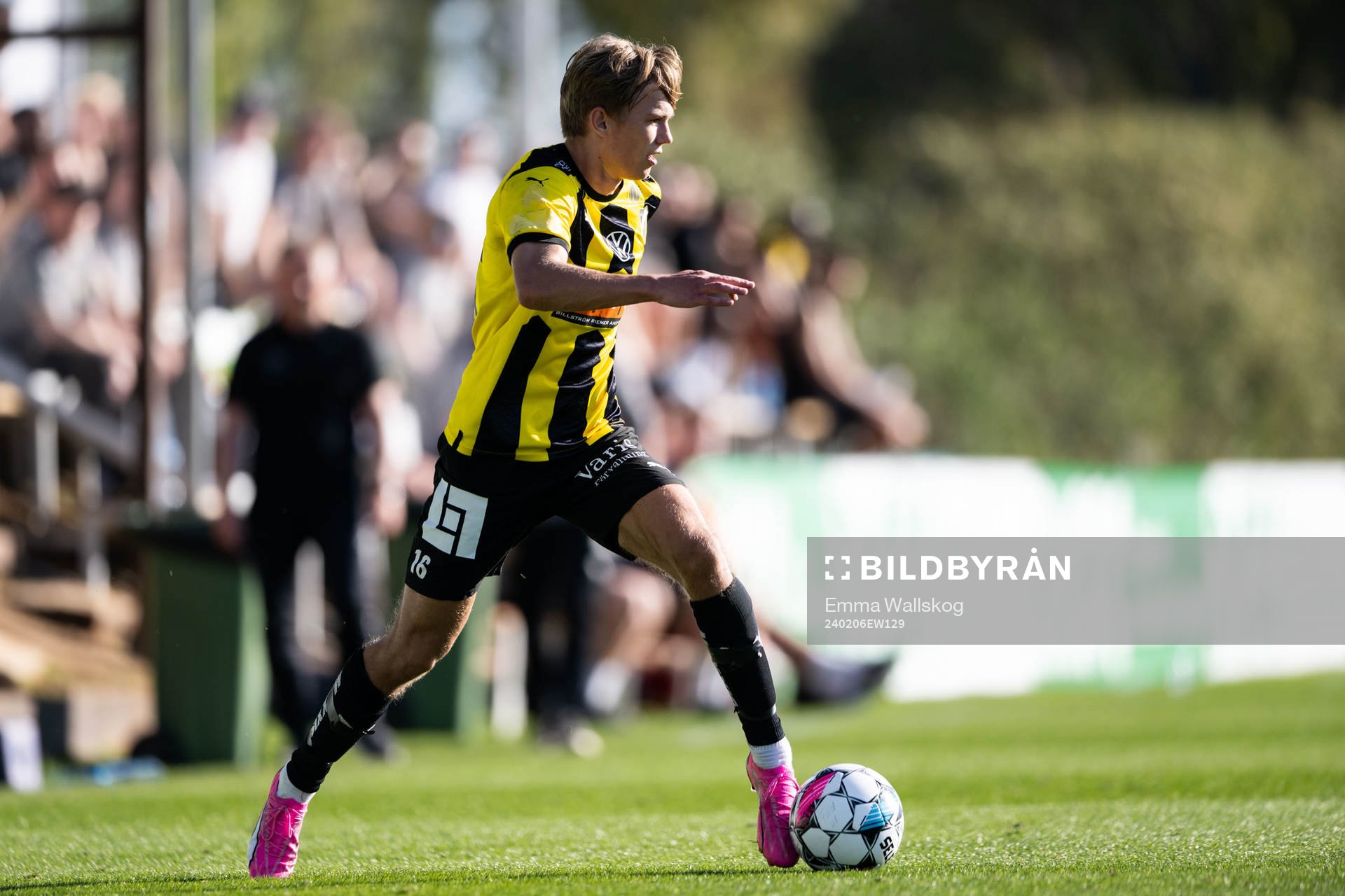 Pontus Dahbo of Häcken