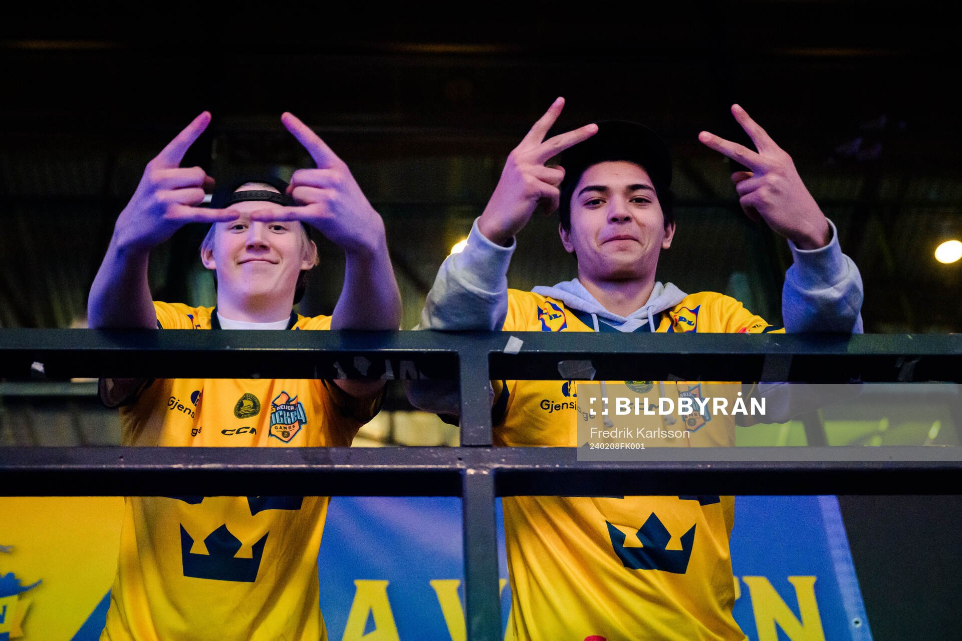Swedish supporters