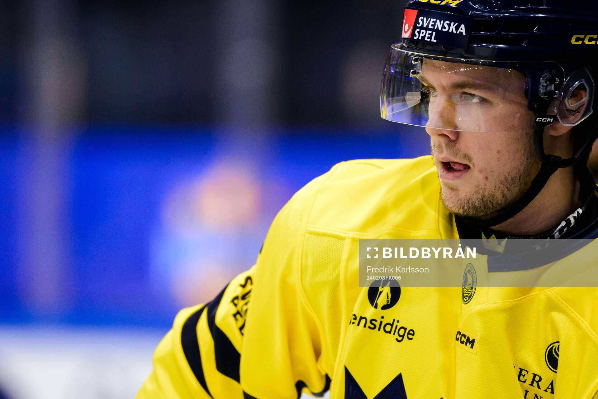 Filip Hållander of Sweden