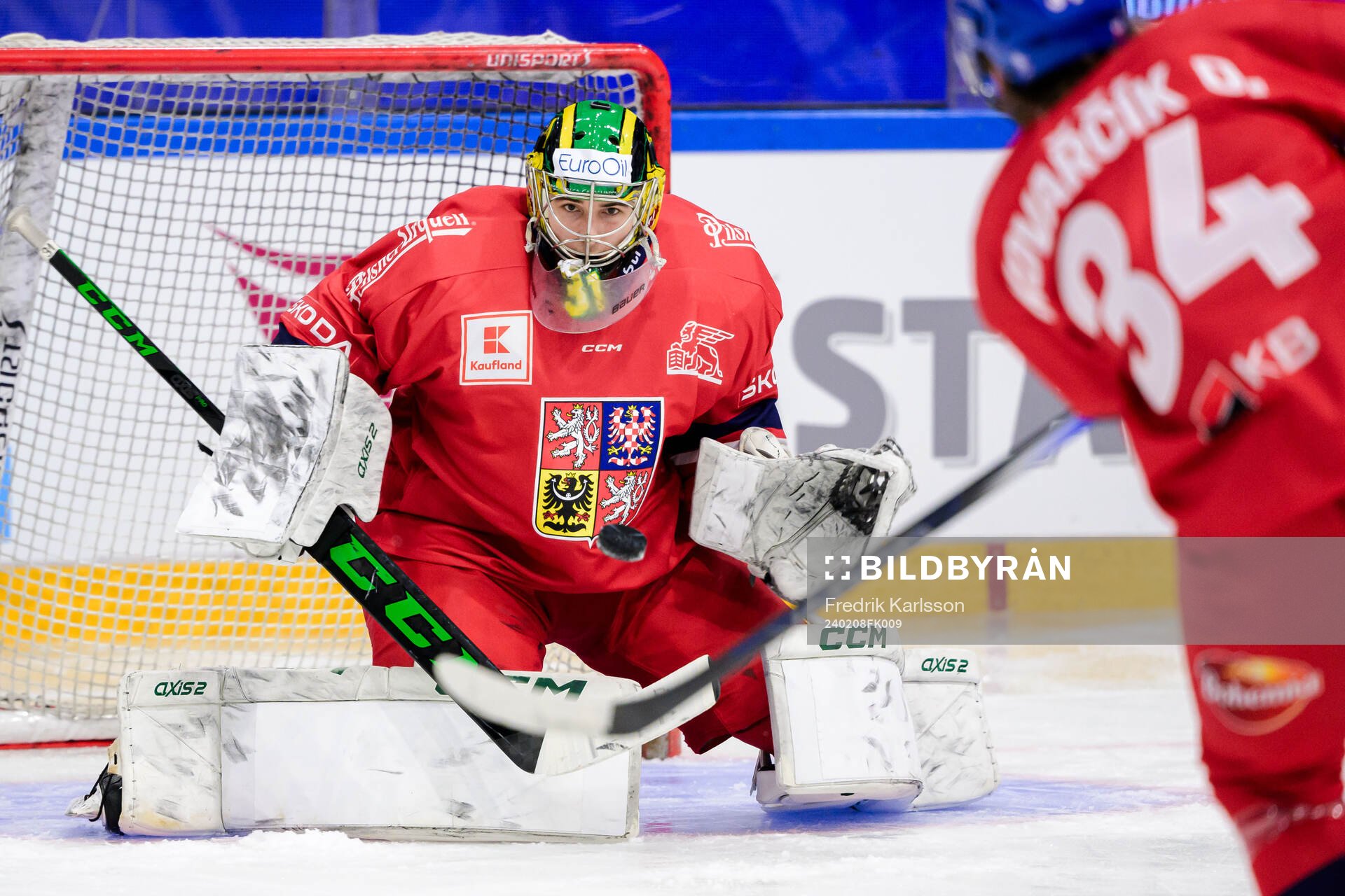 Goalkeeper Jakub Malek of Czech Republic