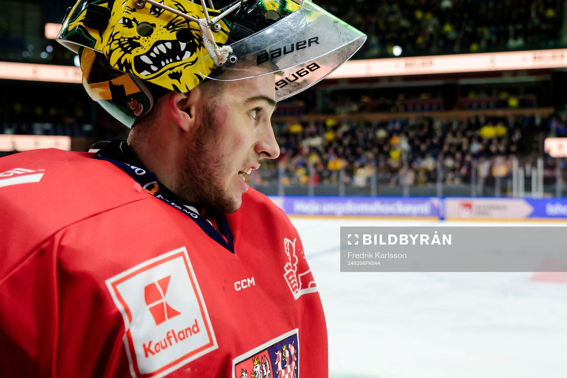 Goalkeeper Jakub Malek of Czech Republic