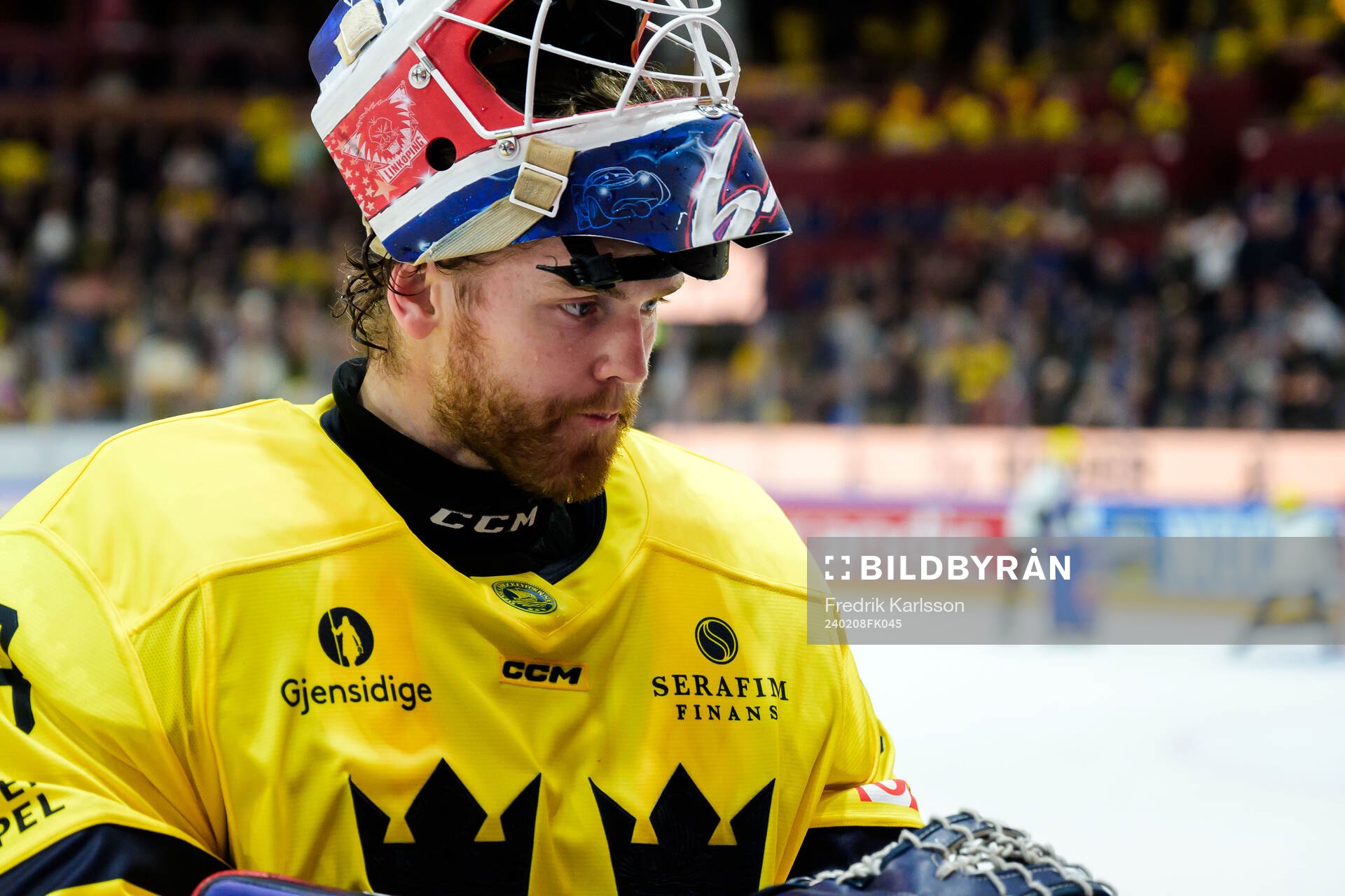 Goalkeeper Marcus Högberg of Sweden