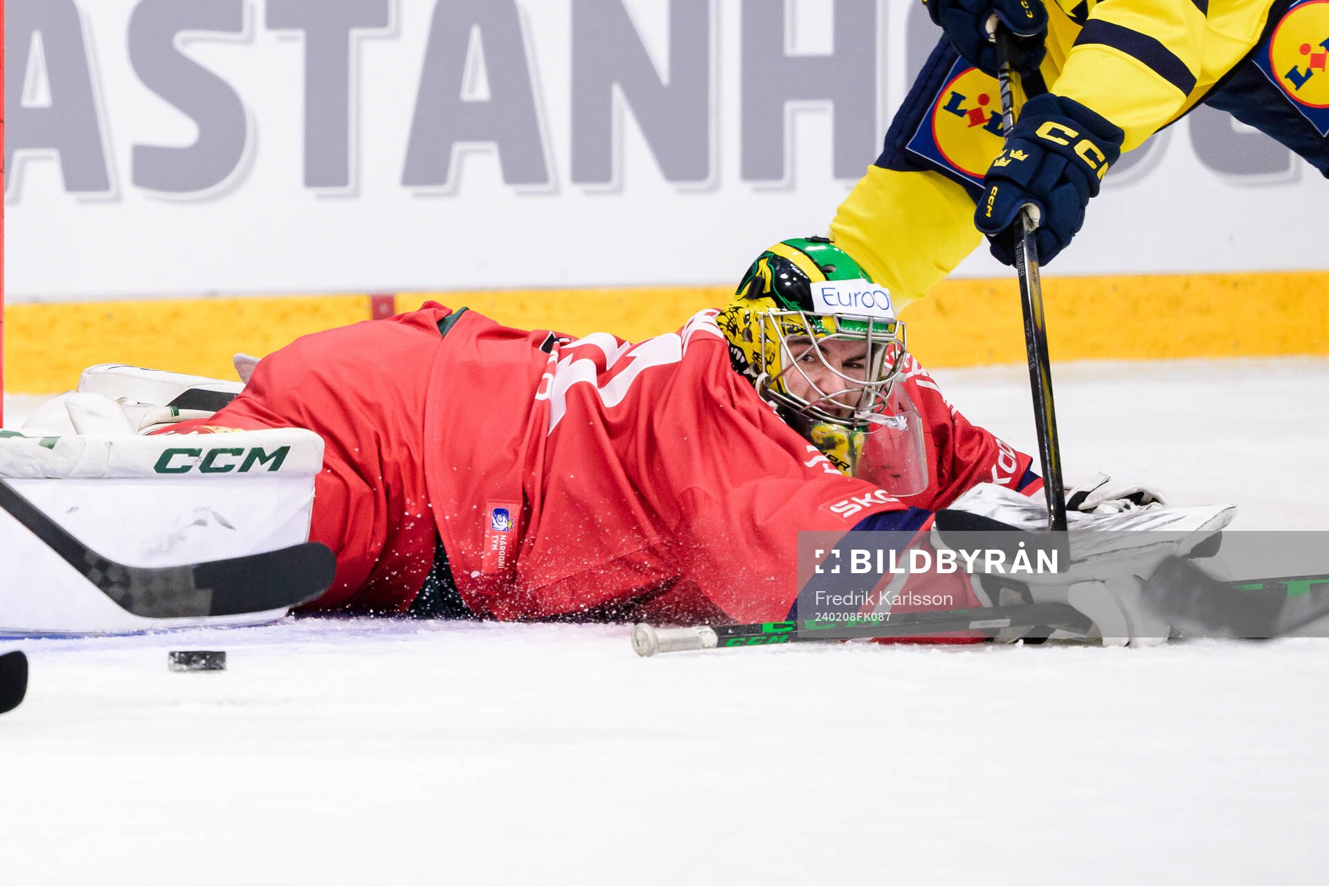 goalkeeper Jakub Malek of Czech Republic and Lucas Wallmark