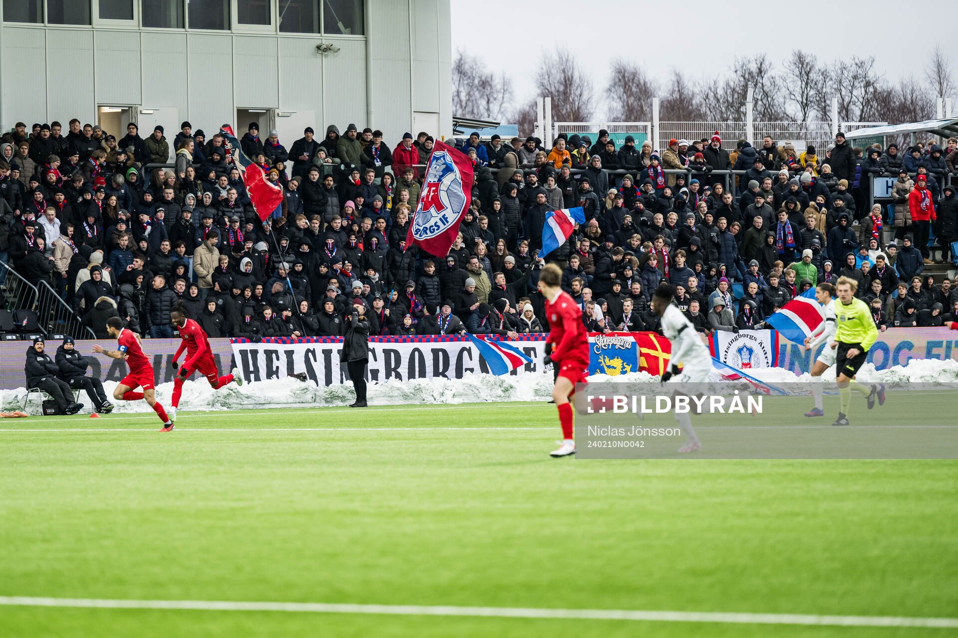 Helsingborgs supprotrarna