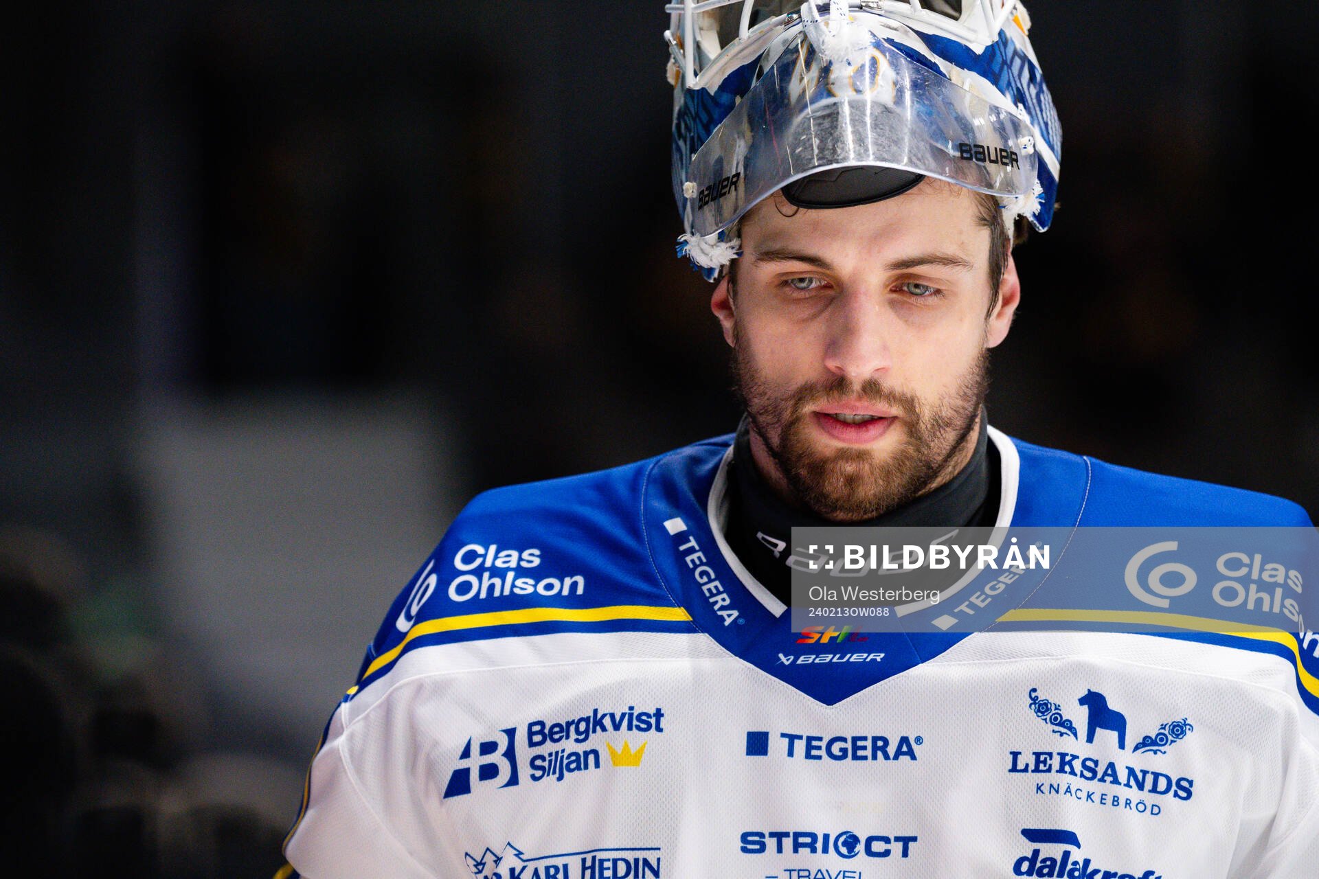 Leksands målvakt Mantas Armalis