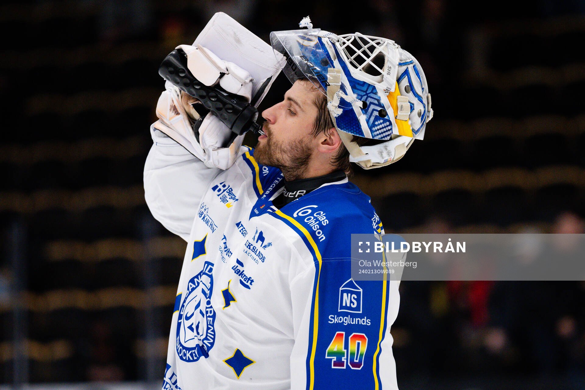Leksands målvakt Mantas Armalis