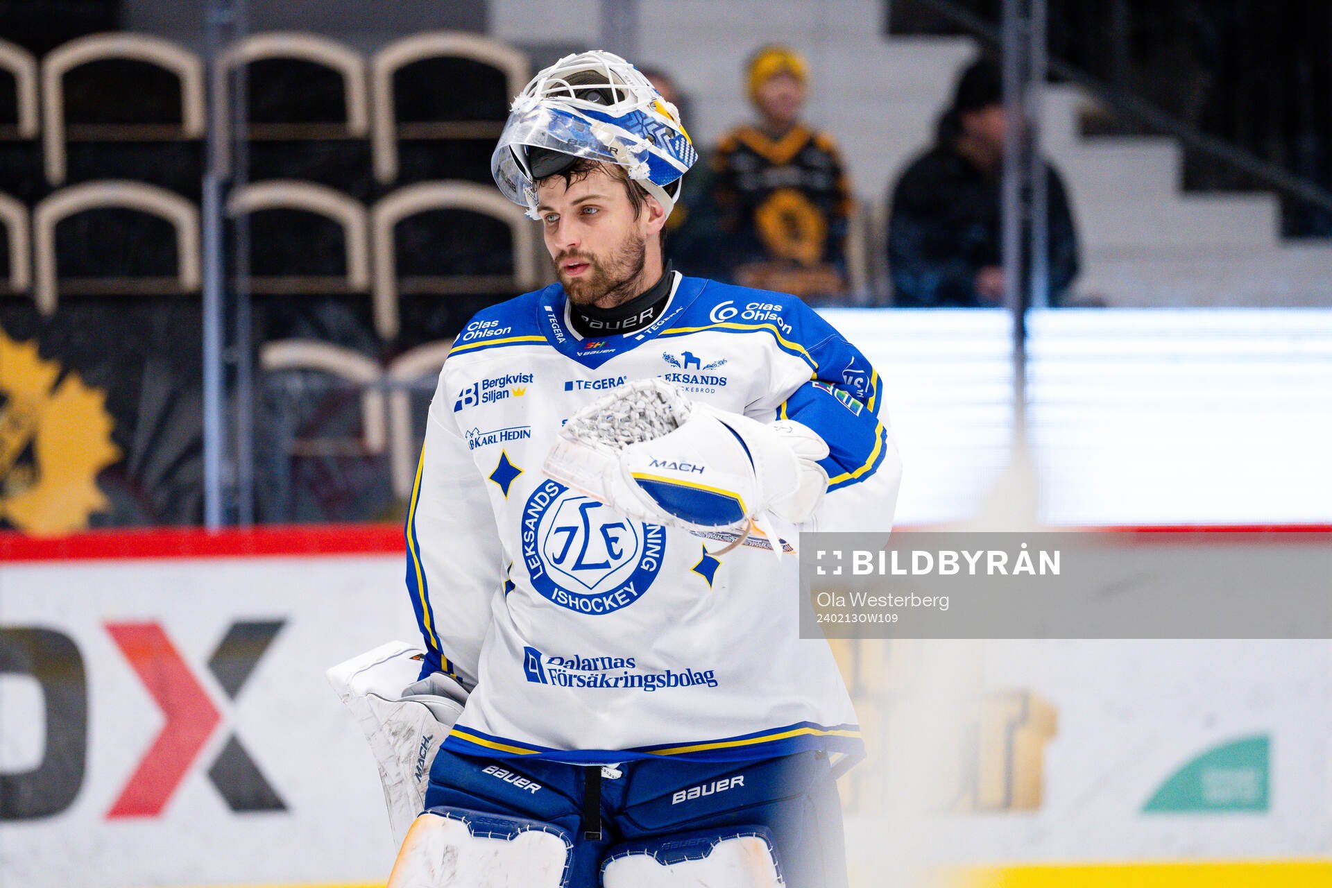 Leksands målvakt Mantas Armalis