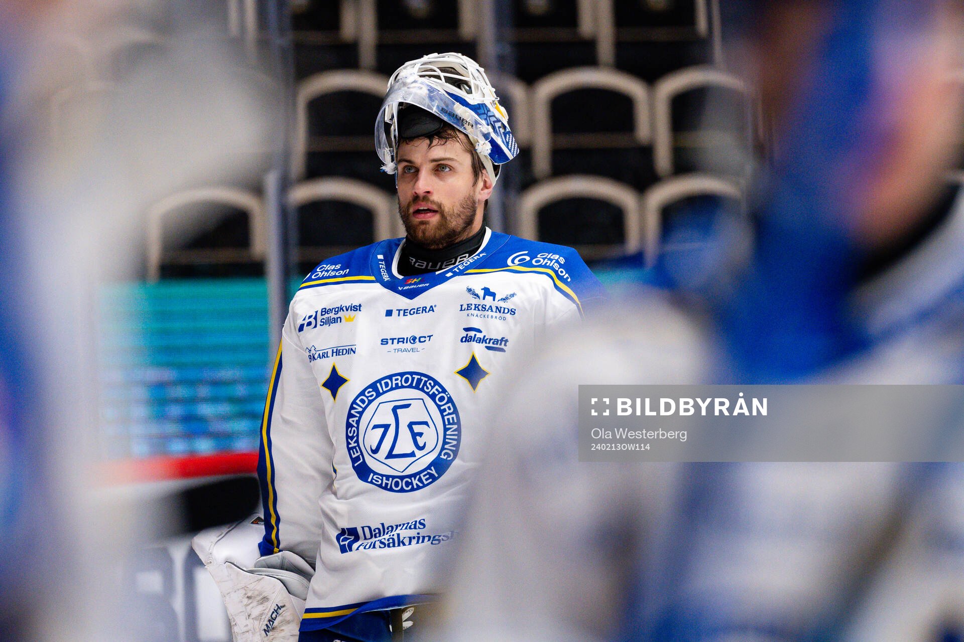 Leksands målvakt Mantas Armalis