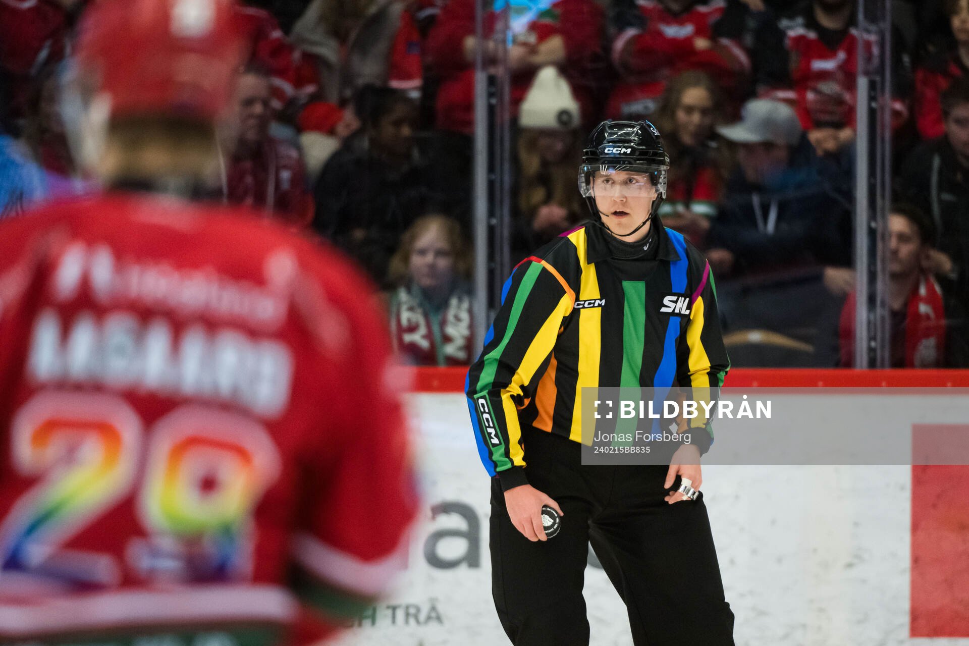 Linjedomare Niclas Westman
