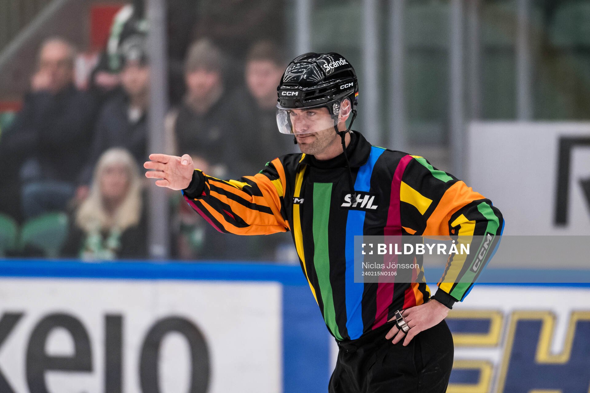 Domare Richard Magnusson