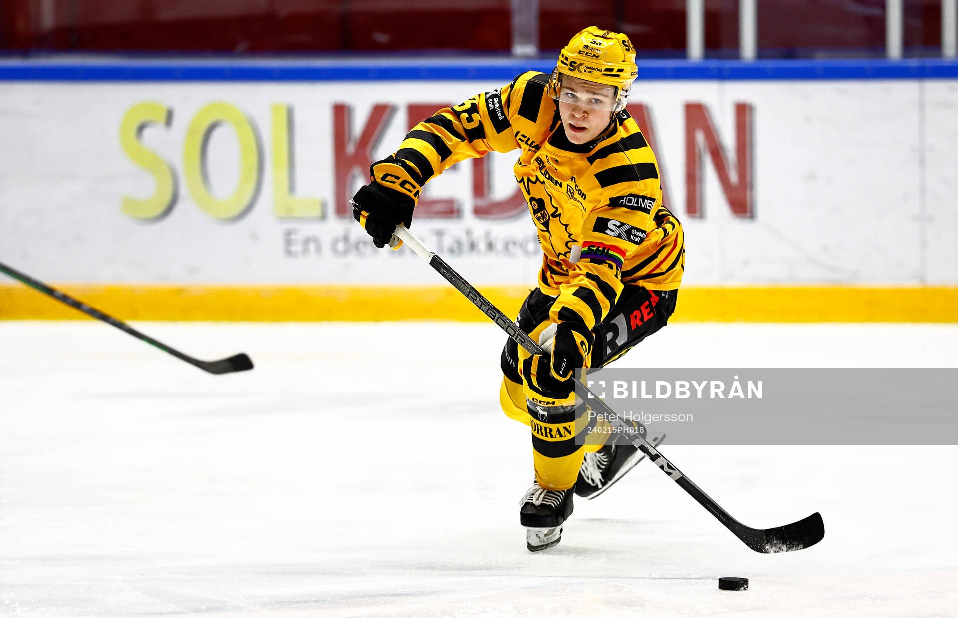 Skellefteås Zeb Forsfjäll