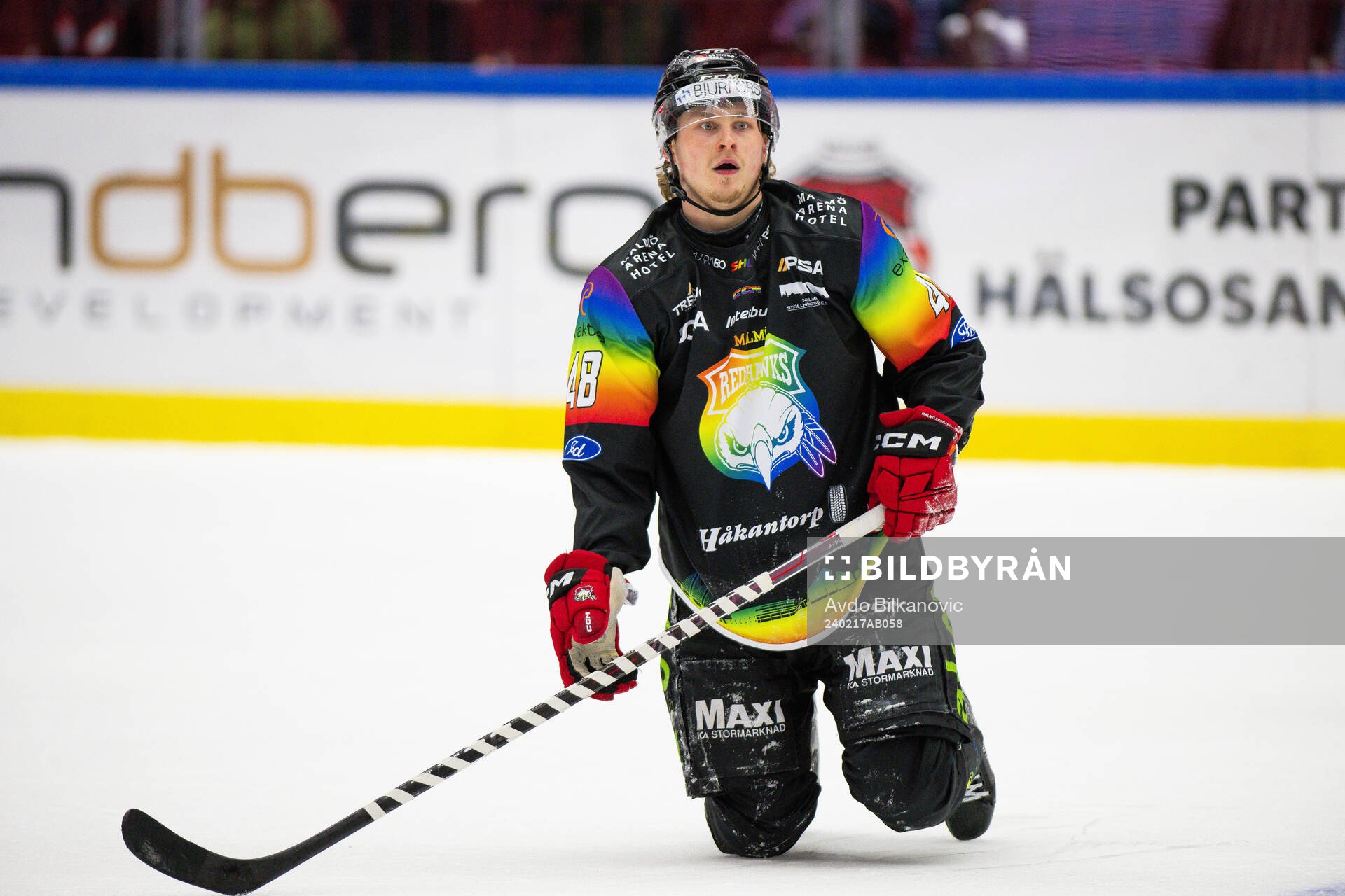 Malmö Redhawks Lauri Pajuniemi