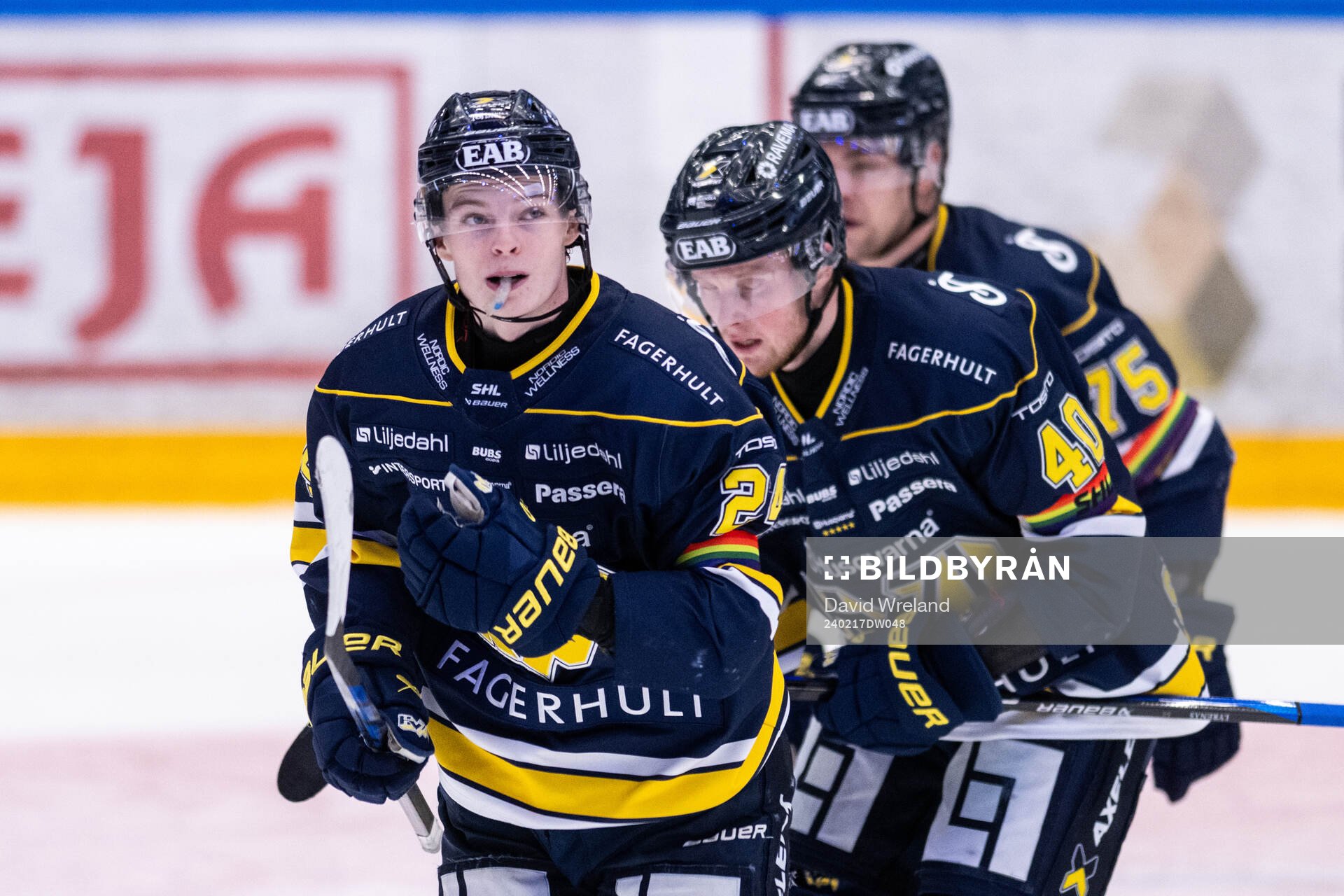 HV71s Oscar Fisker Molgaard jublar