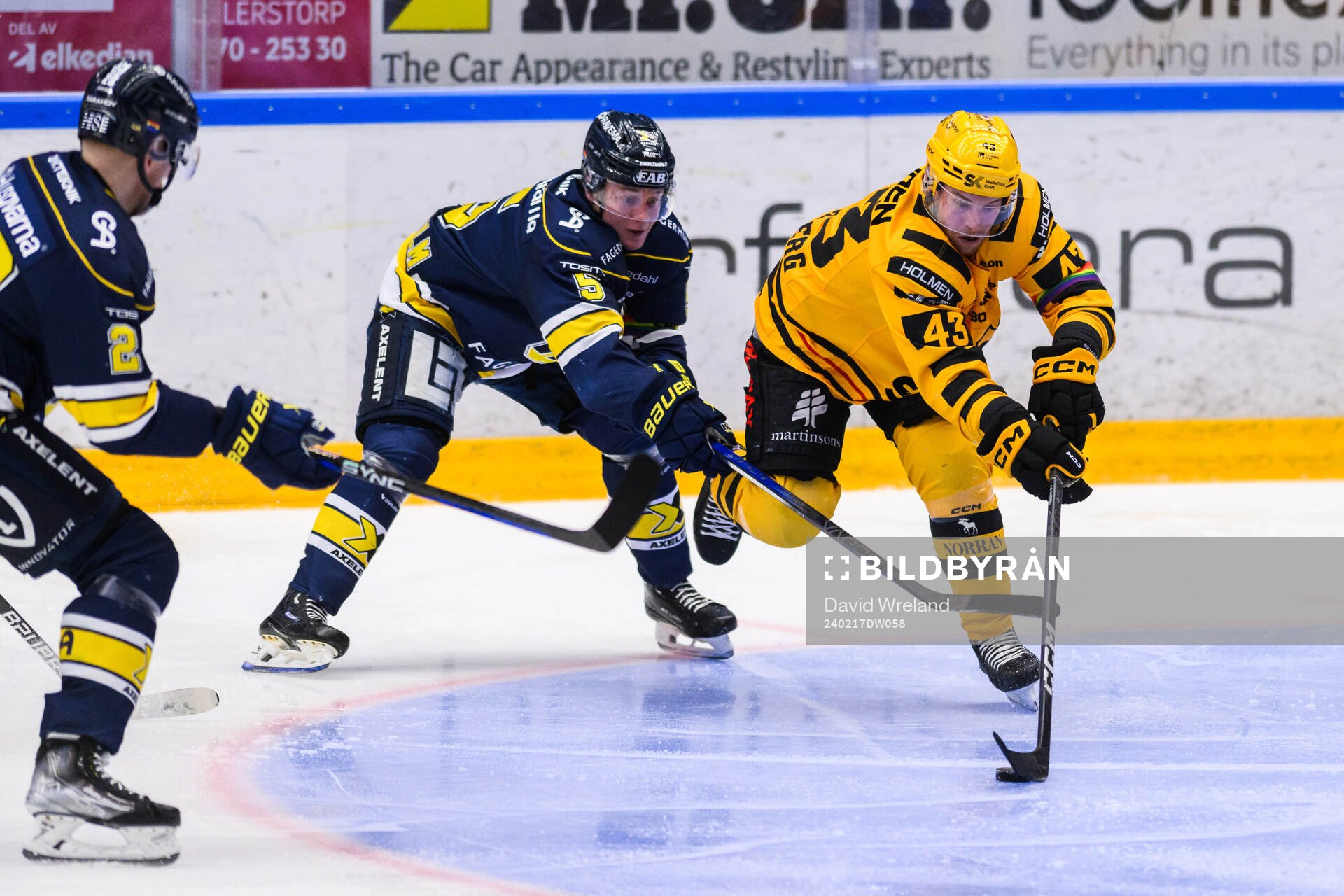 HV71s Victor Sjöholm och Skellefteås Filip Sandberg