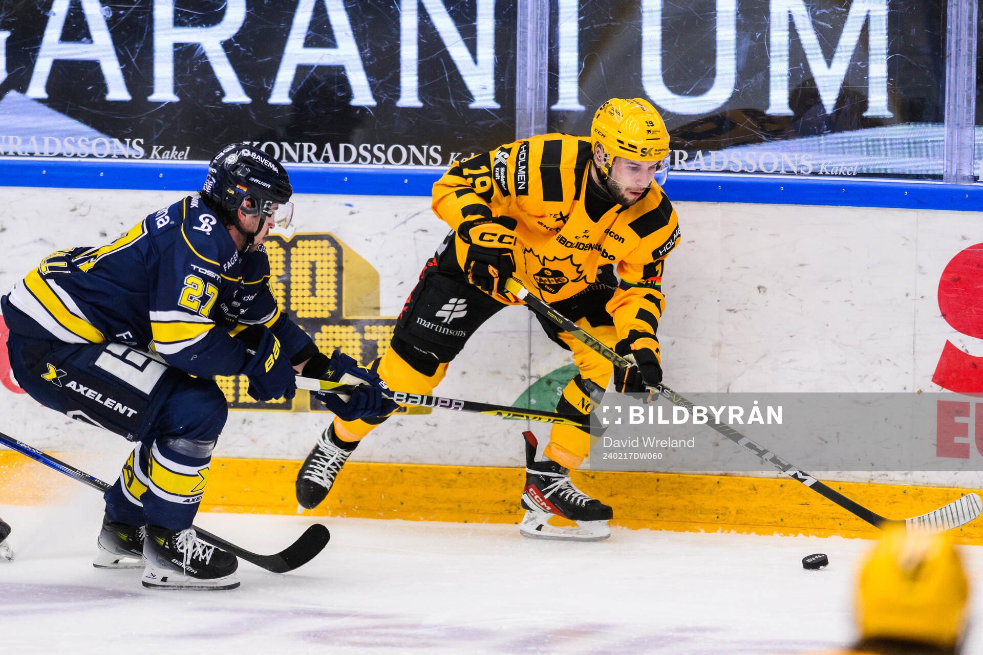 HV71s Robert Nardella och Skellefteås Martins Dzierkals