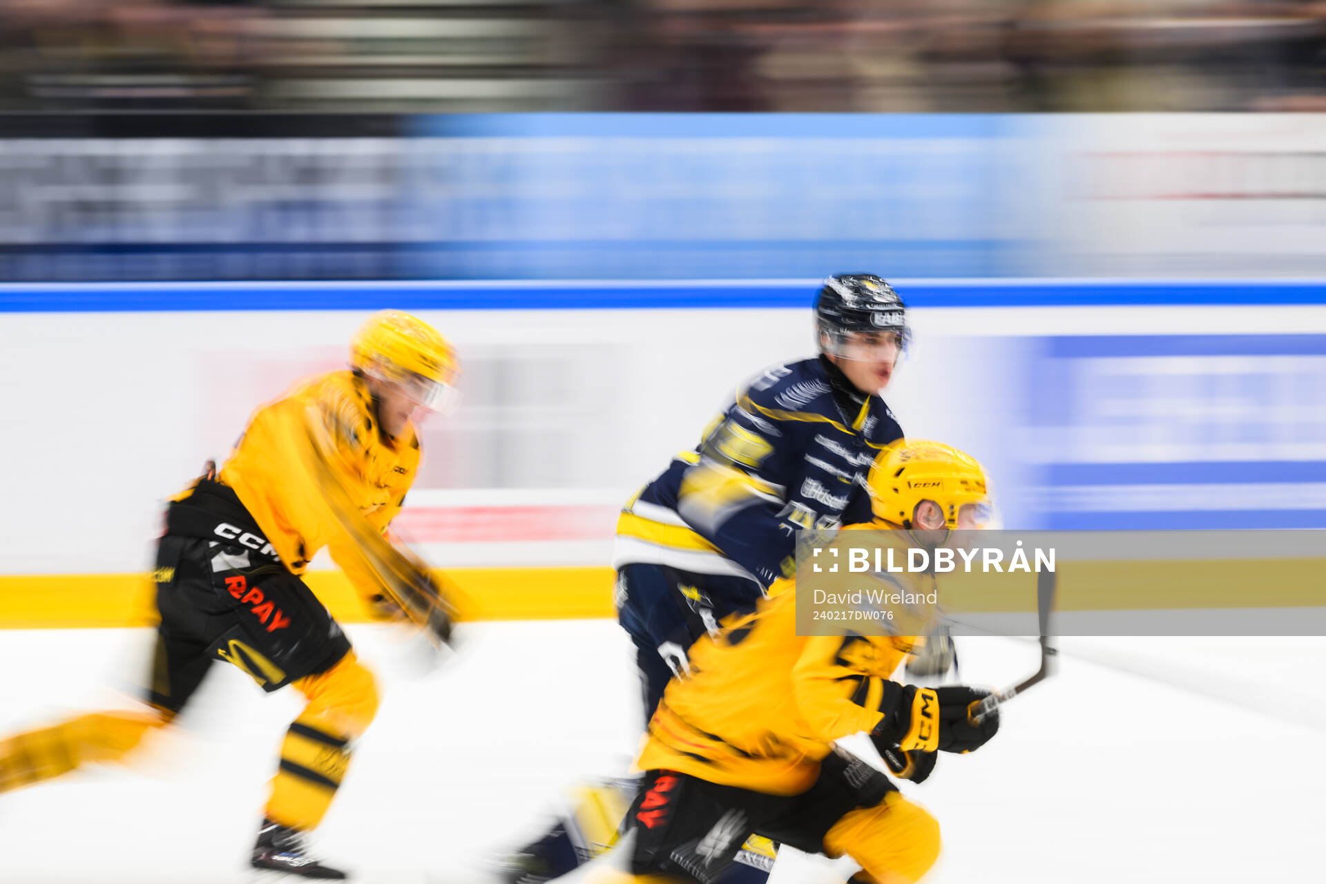 HV71s Herman Hansson