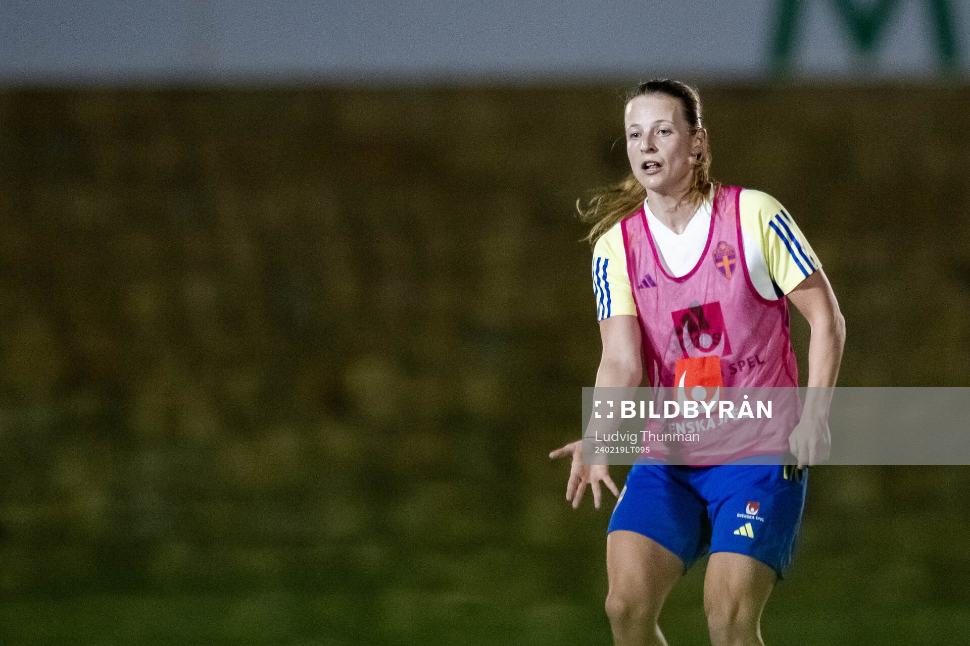 Anna Anvegård of the women's national football team of