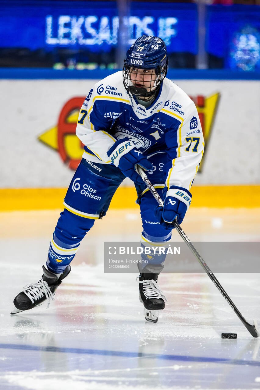 Leksands Tereza Radova