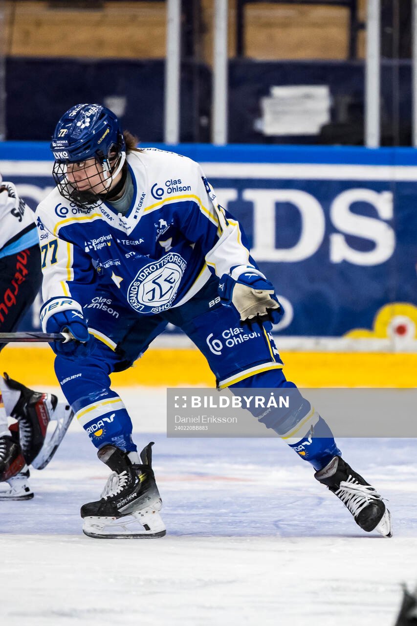 Leksands Tereza Radova