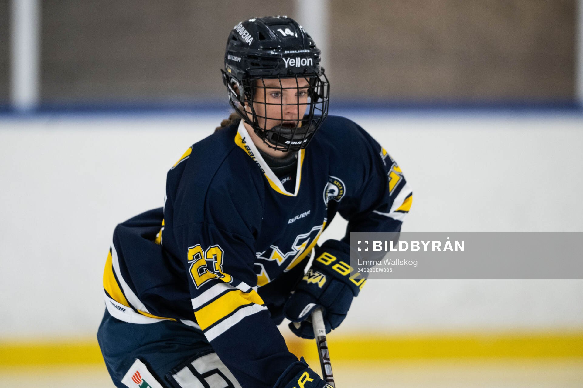 HV71s Evelina Arvidsson