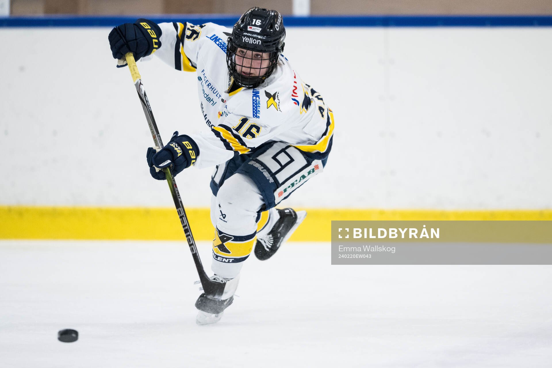 HV71s Kajsa Armborg