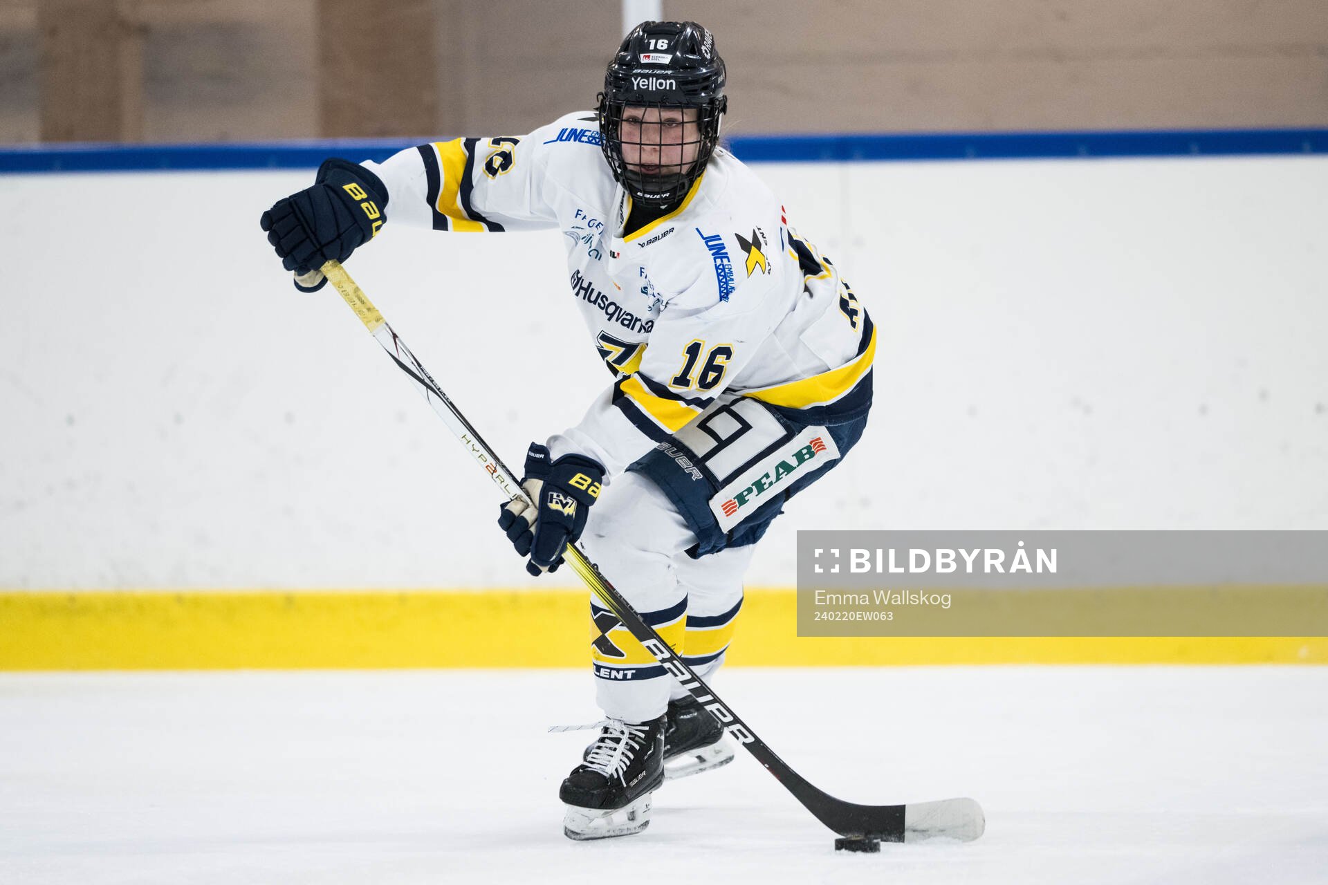 HV71s Kajsa Armborg