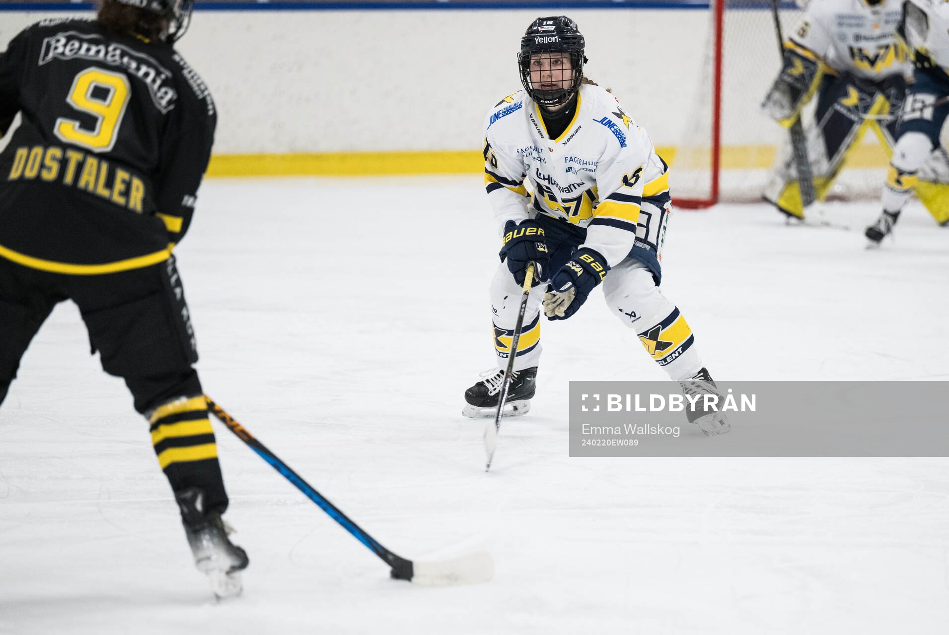 HV71s Kajsa Armborg