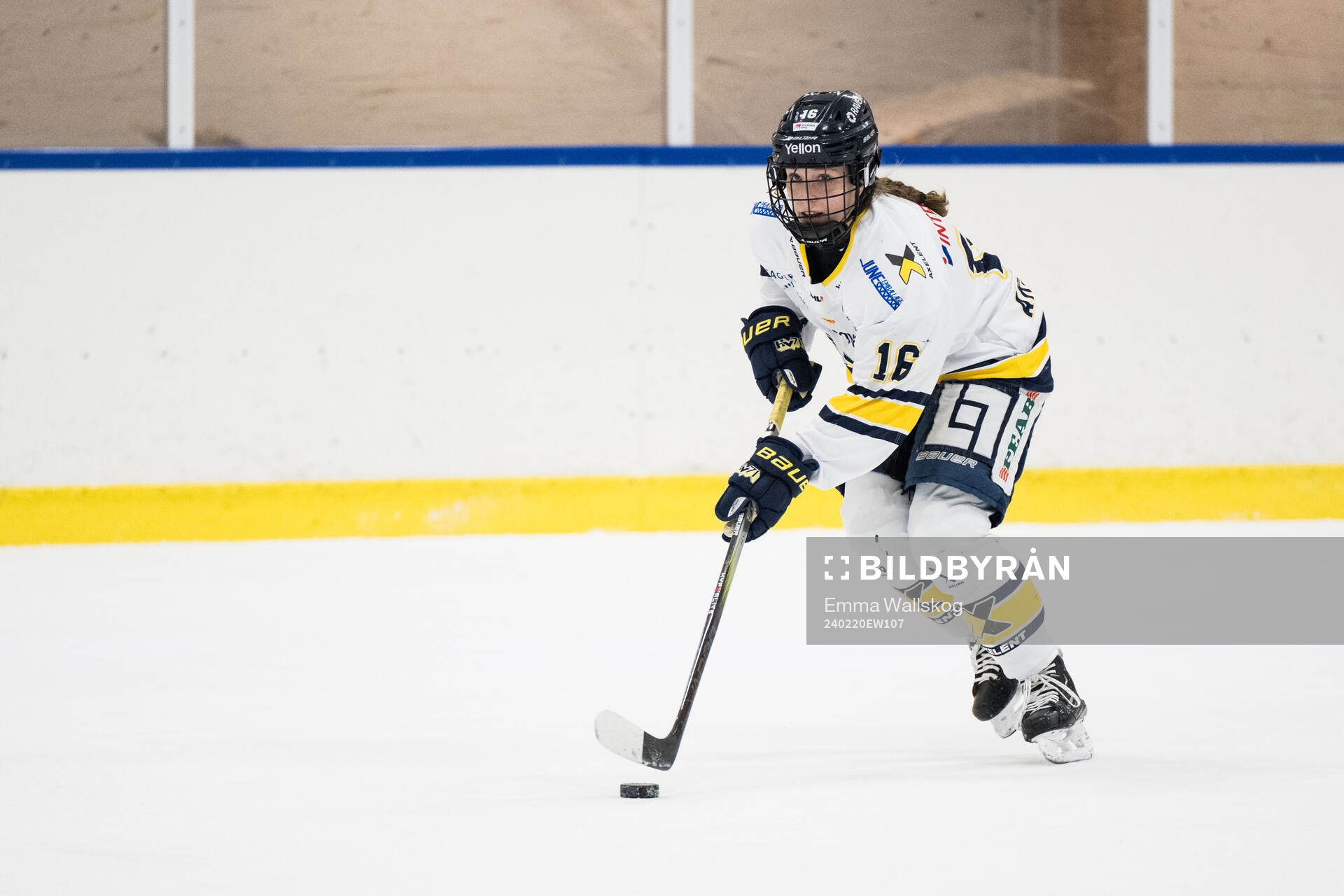HV71s Kajsa Armborg