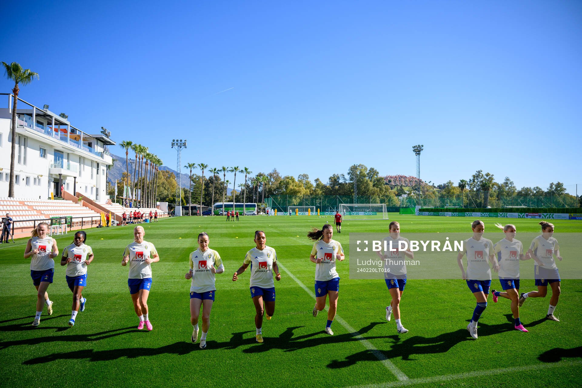 Players of the women's national football team of Sweden