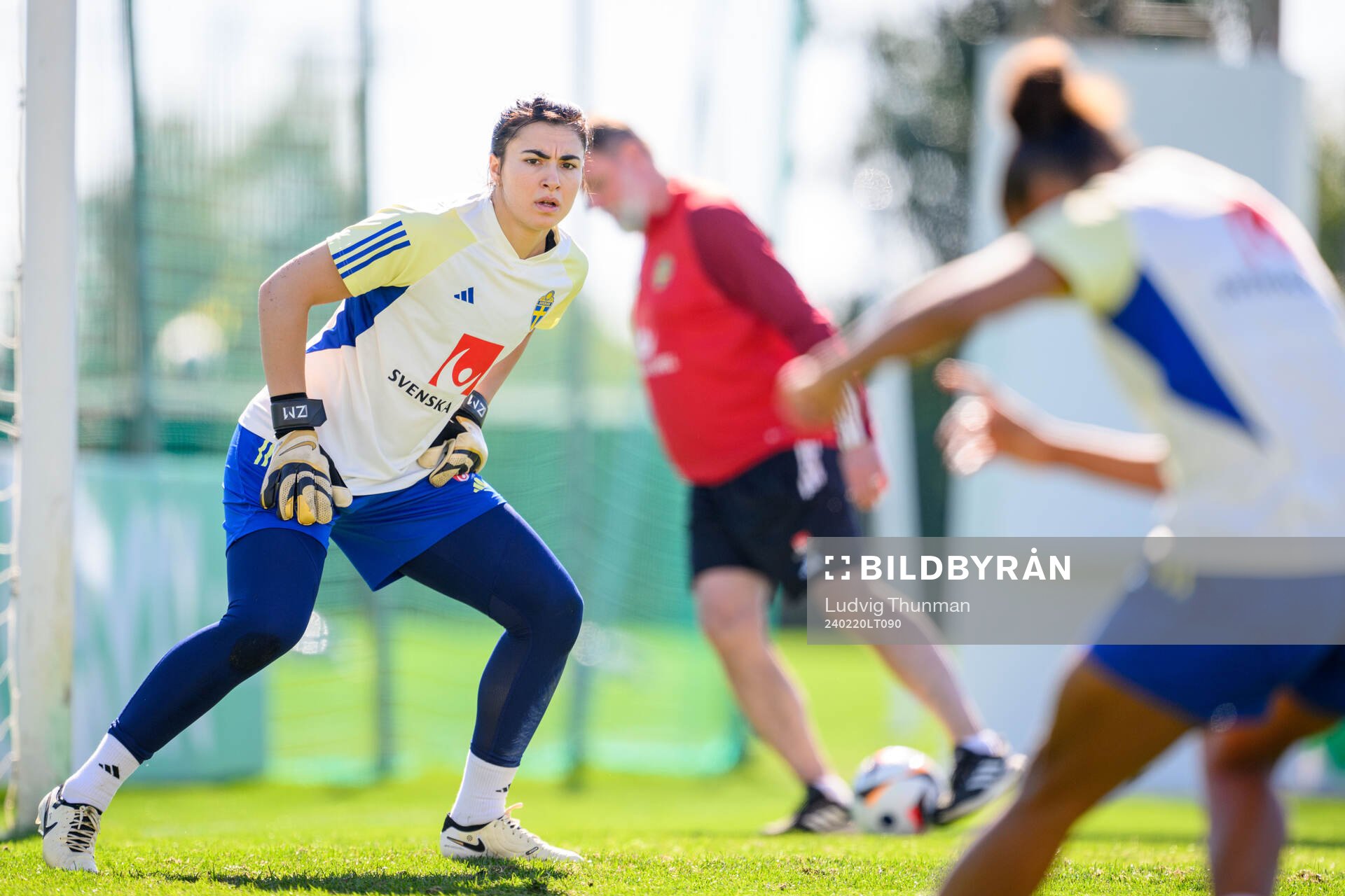 Goalkeeper Zecira Musovic of Sweden of the women's national
