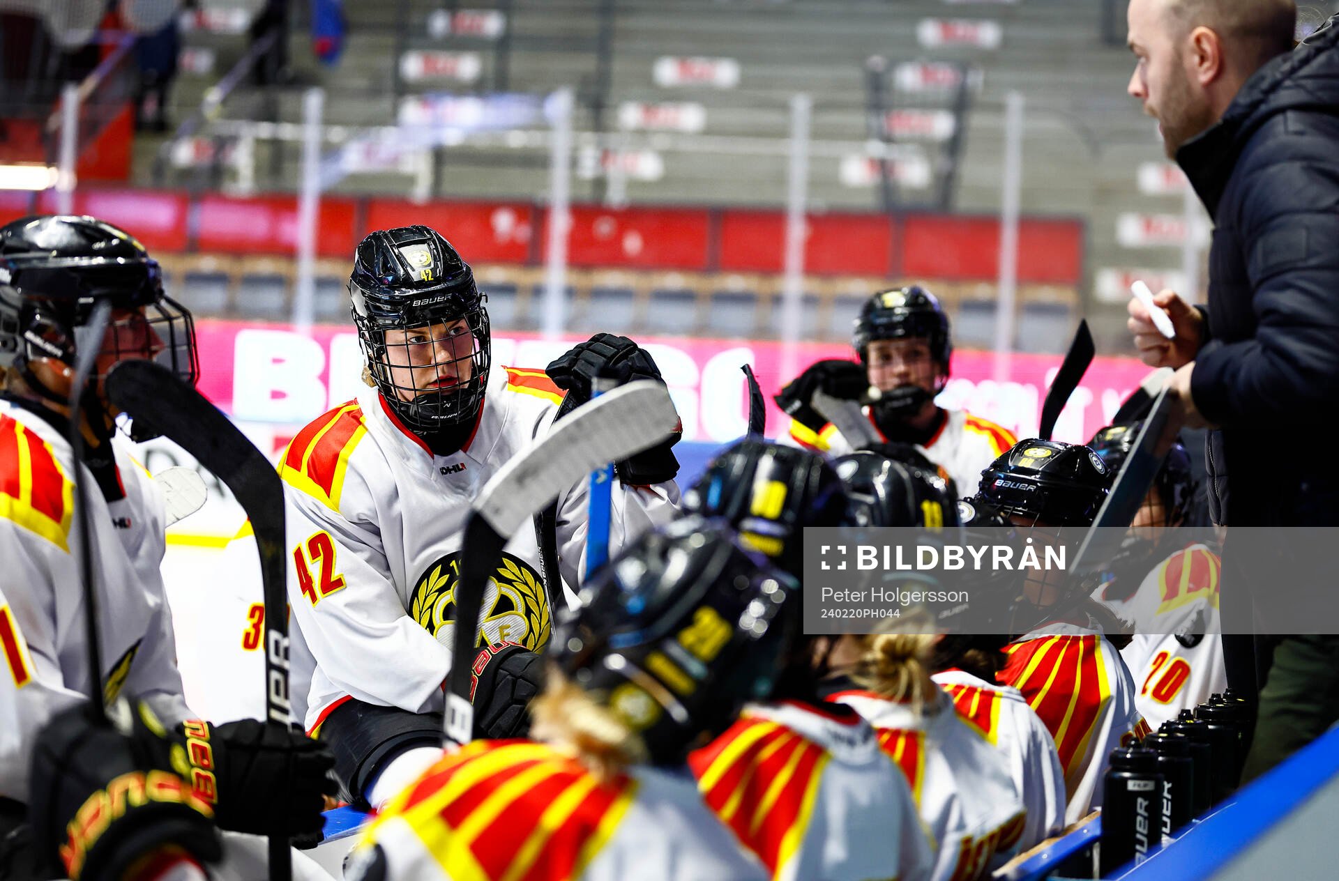Brynäs Sini Karjalainen