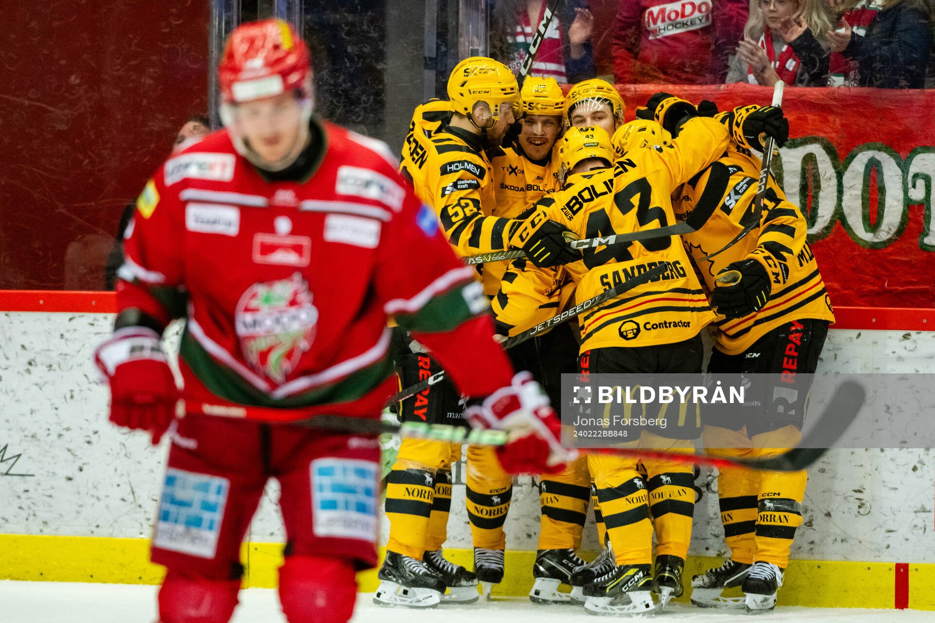 Skellefteås Axel Sandin Pellikka jublar