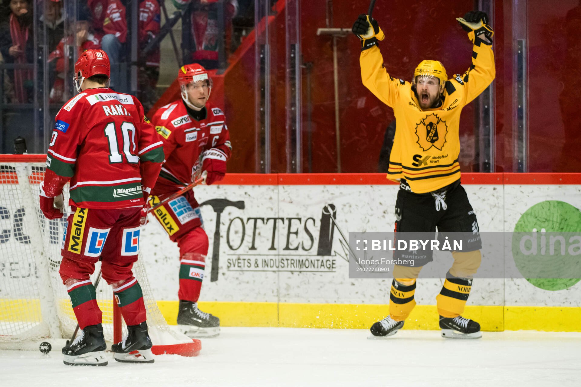 Skellefteås Arvid Lundberg jublar