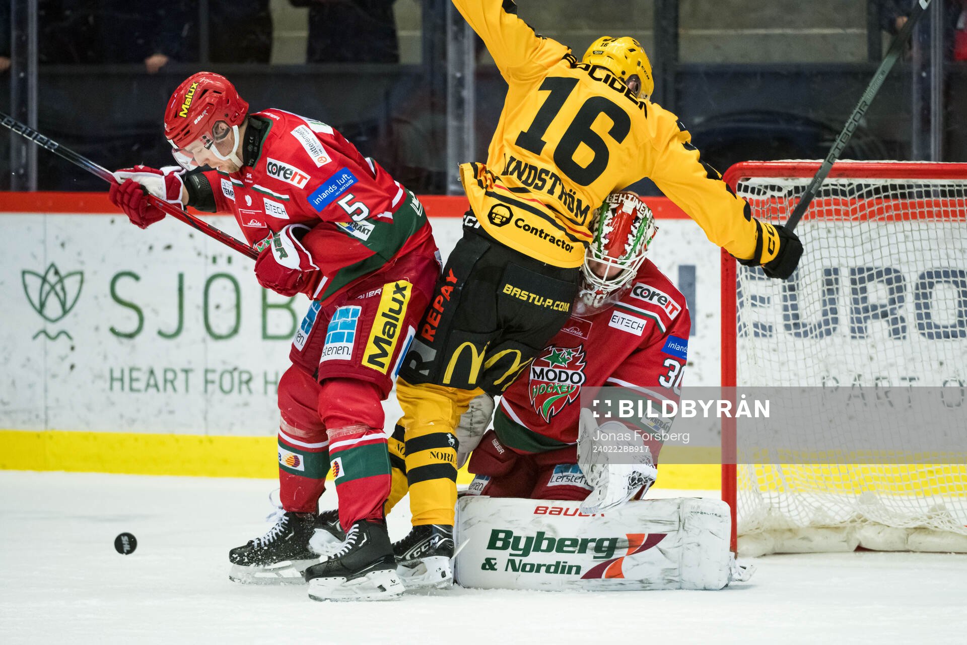MoDos målvakt Lassi Lehtinen August Berg och Skellefteås