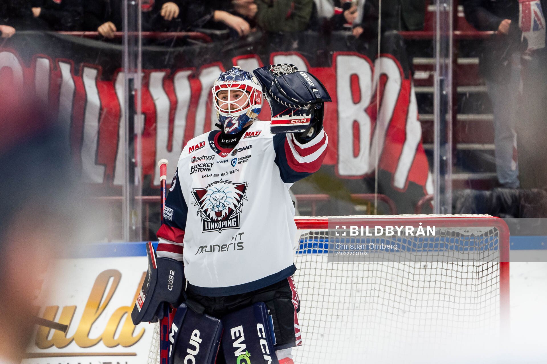 Linköpings målvakt Marcus Högberg jublar