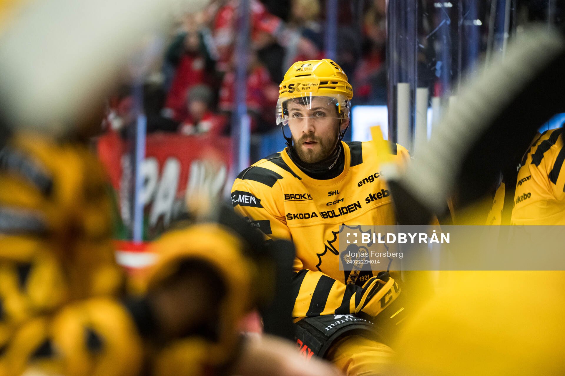 Skellefteås Arvid Lundberg