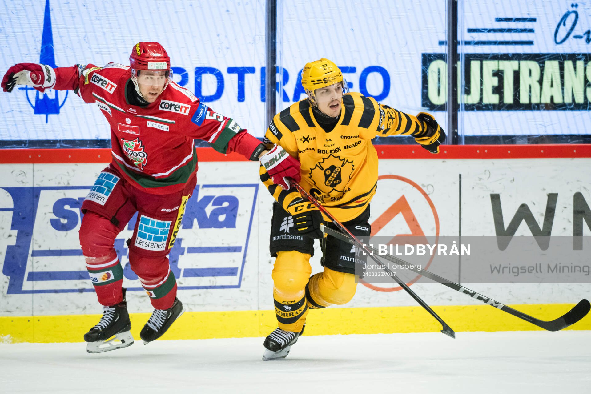 MoDos August Berg och Skellefteås Jonathan Johnson