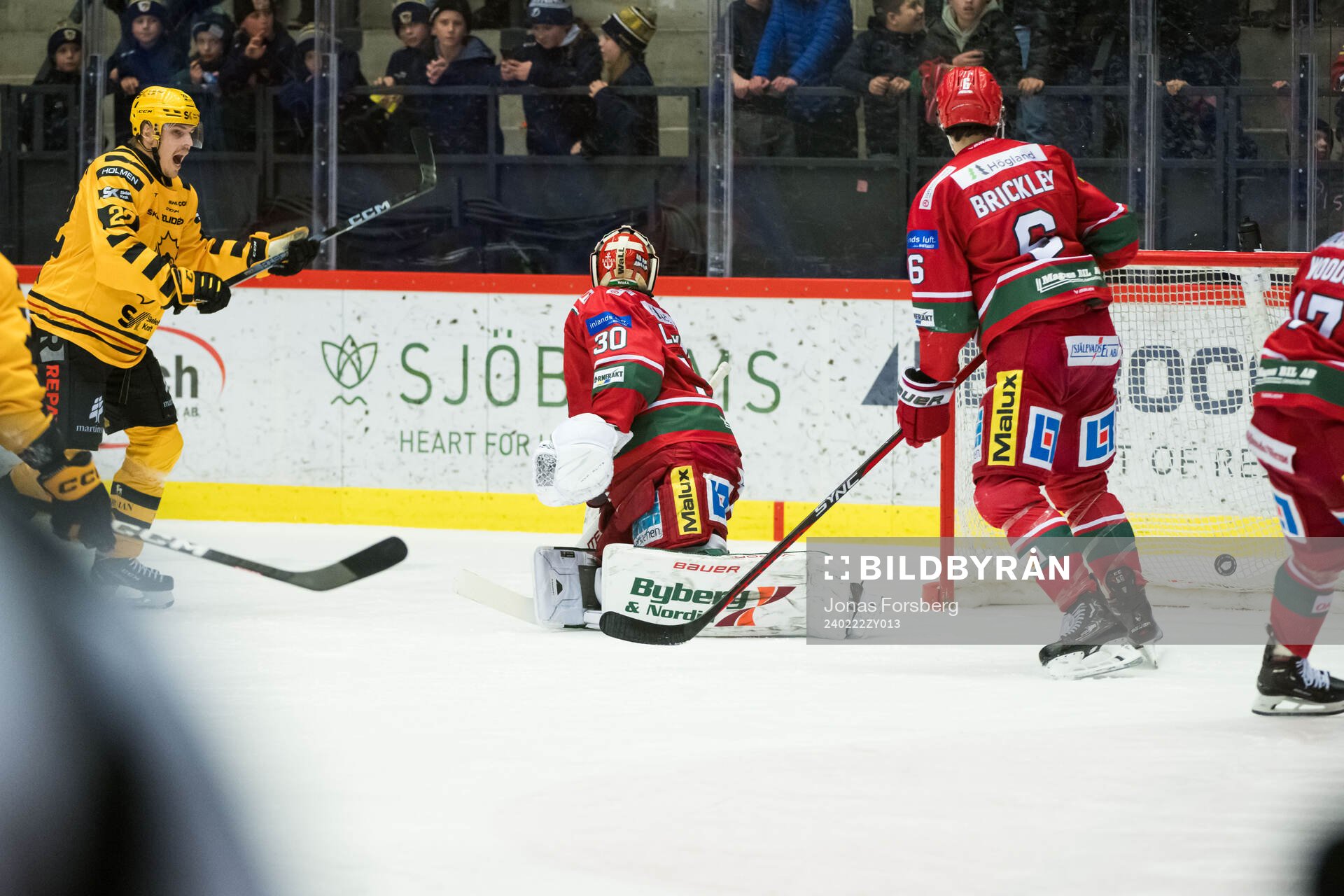 Skellefteås Jonathan Johnson jublar