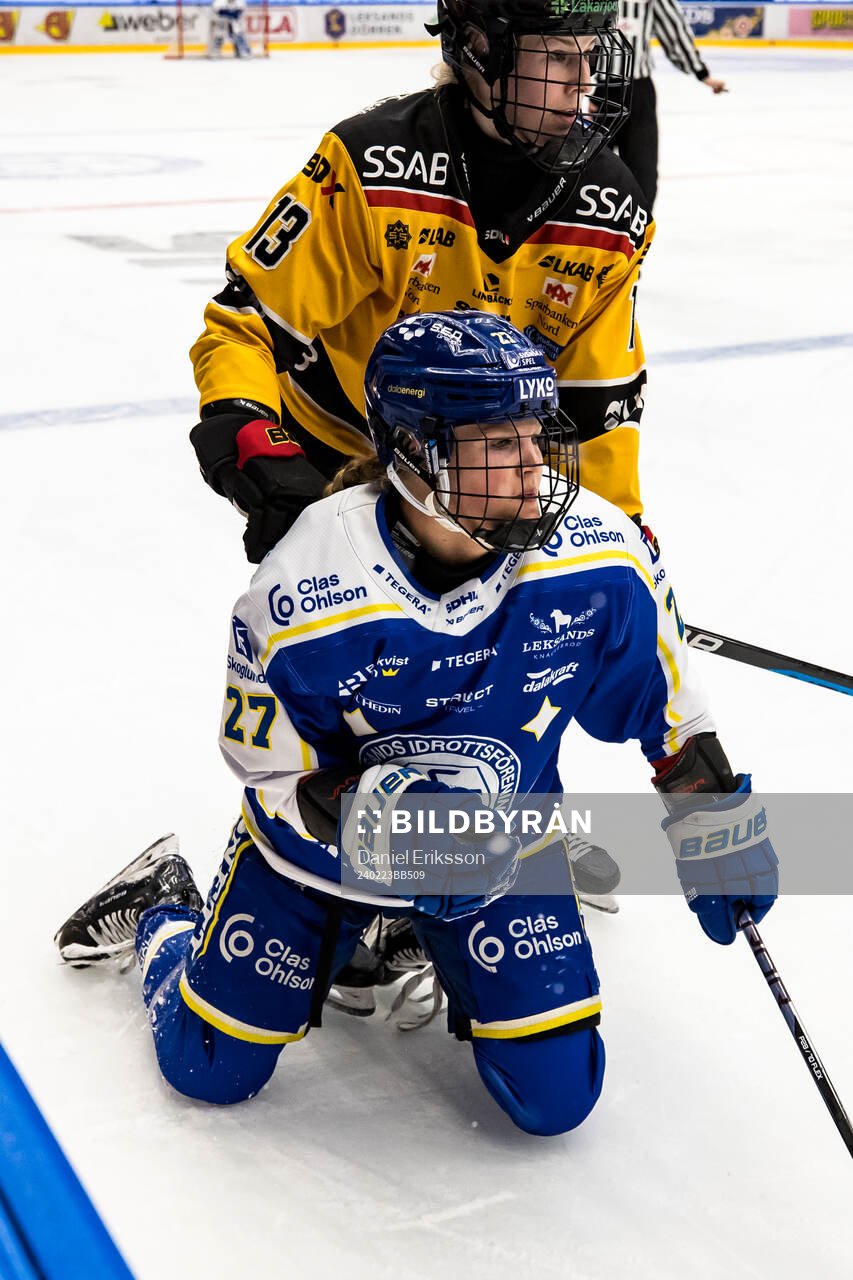 Leksands Shay Maloney